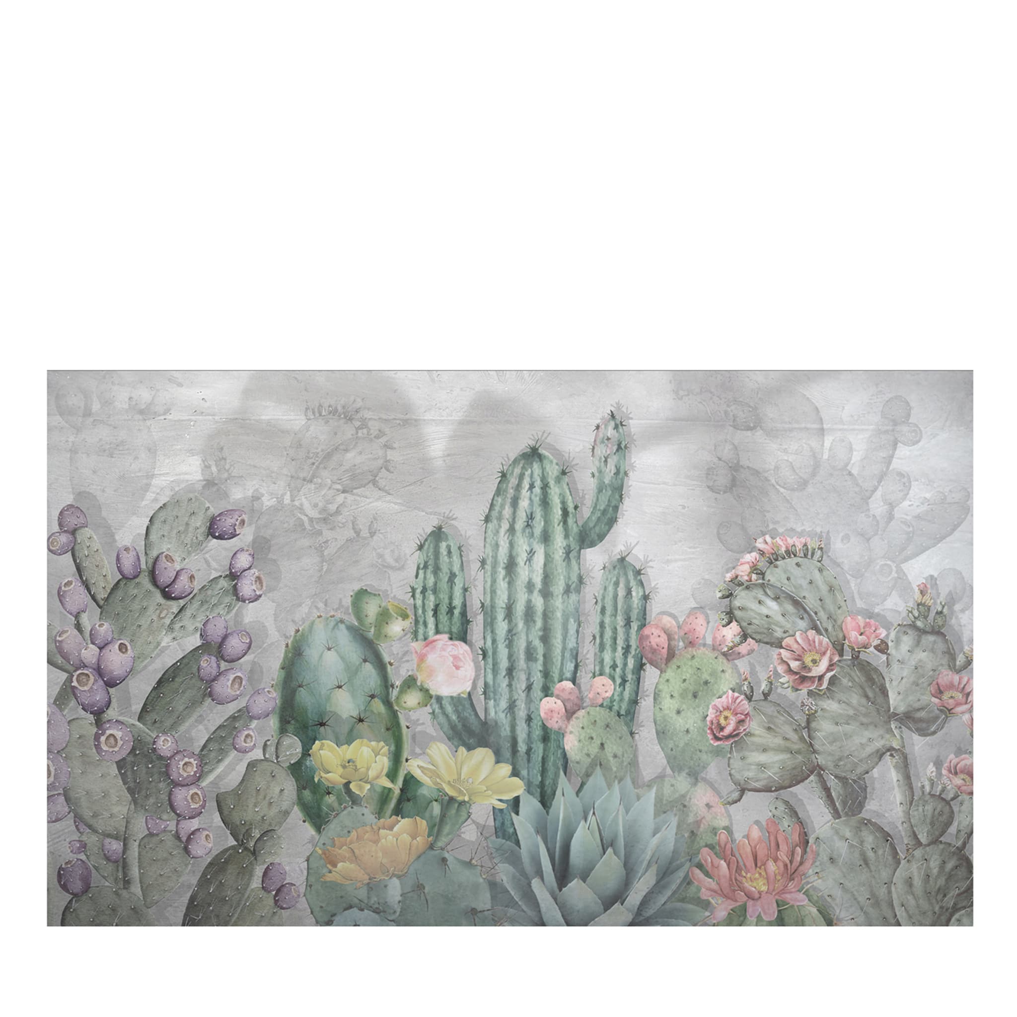 Kaktus-Panorama-Tapete - Hauptansicht