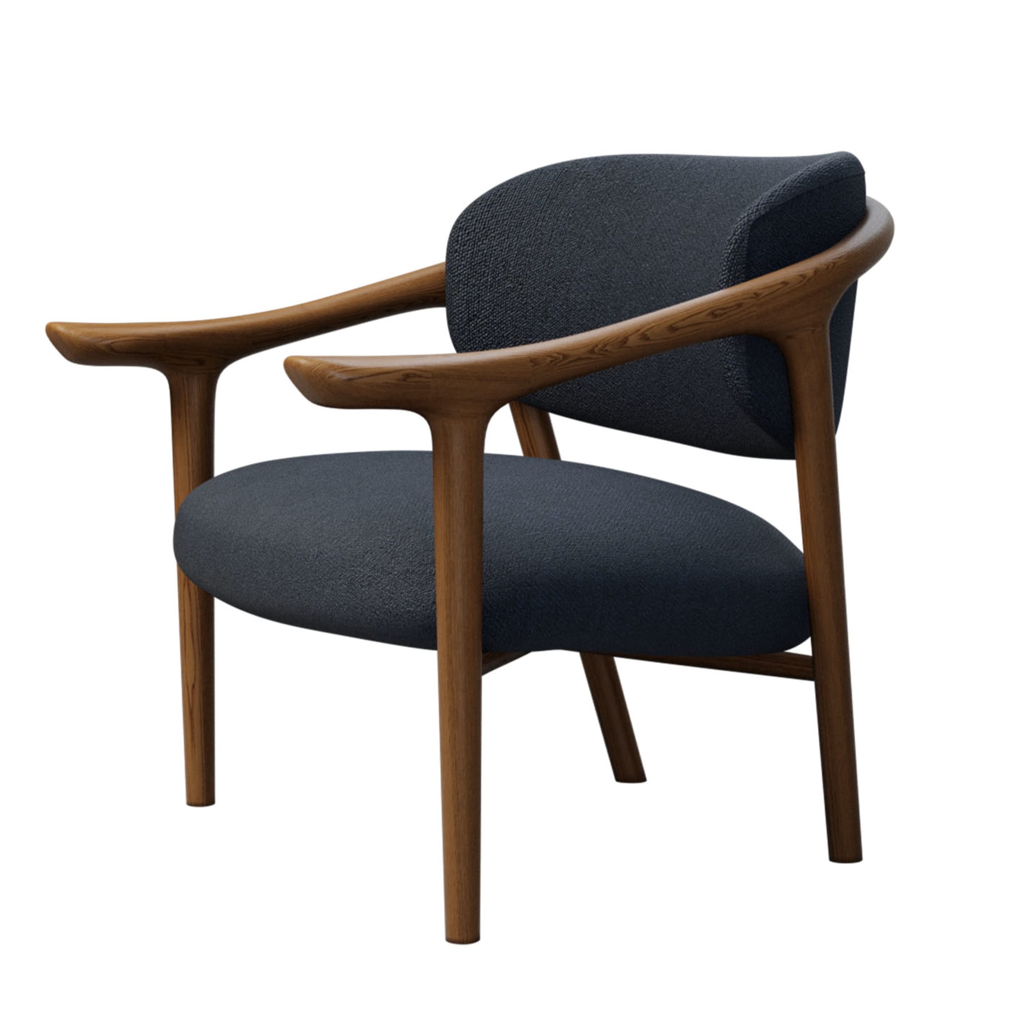 Aida Lounge Chair by Libero Rutilo - Alternative view 2