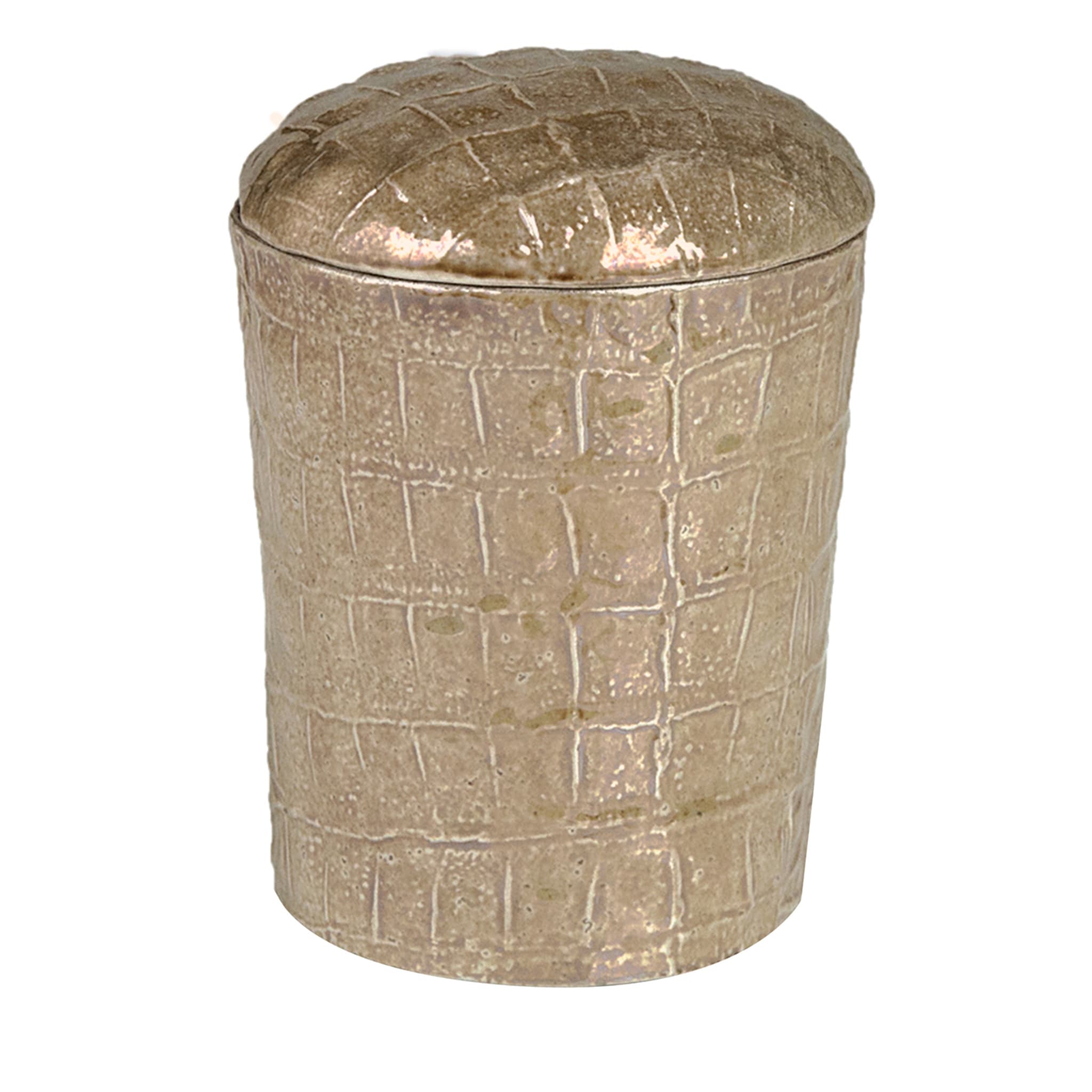 COCCO CANISTER - BEIGE - Main view