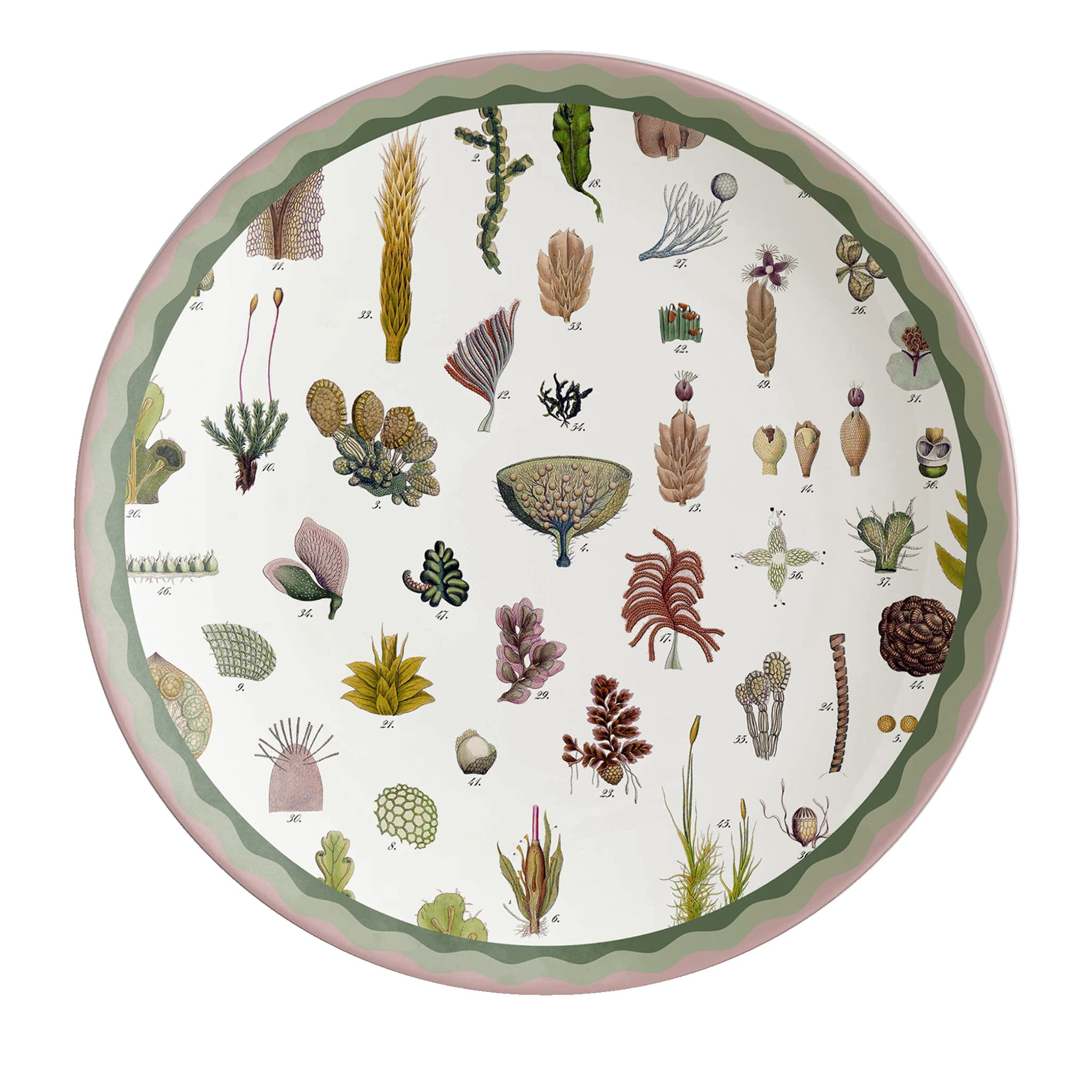 Cabinet De Curiosités Porcelain Dinner Plate With Seaweed - Main view