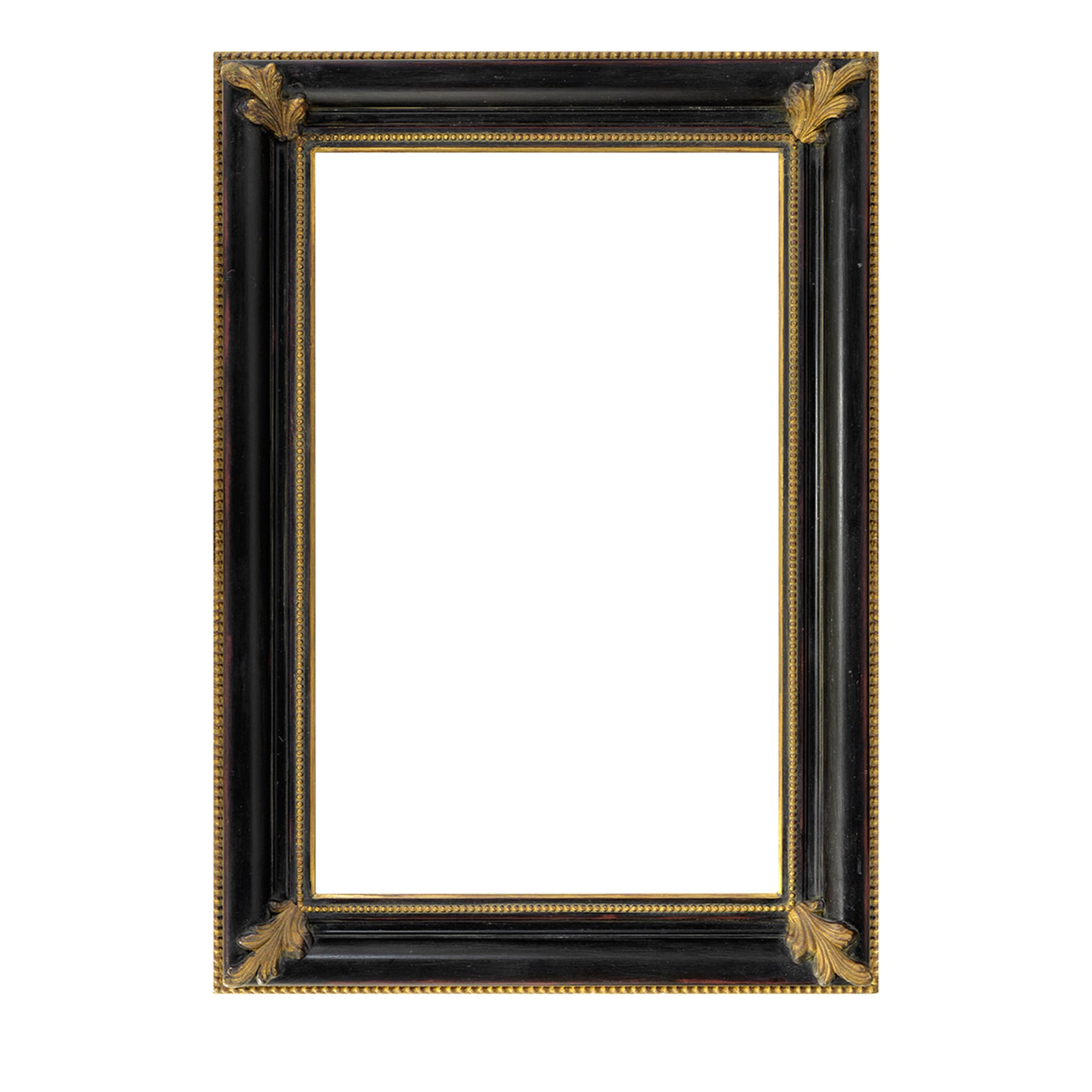 Salvator Rosa Ebony & Gold Frame #1 - Main view