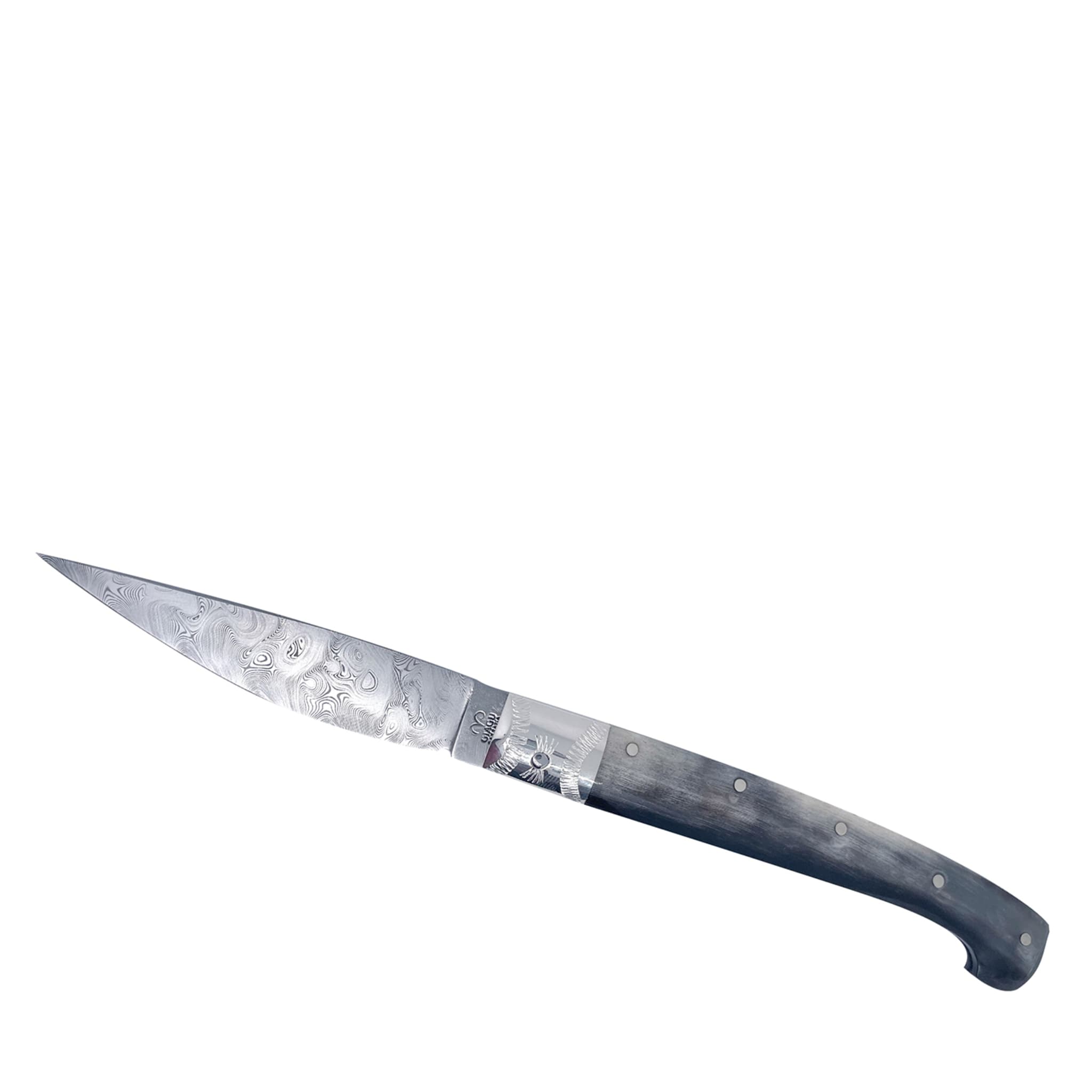 Resolza Gray Pocketknife - Main view