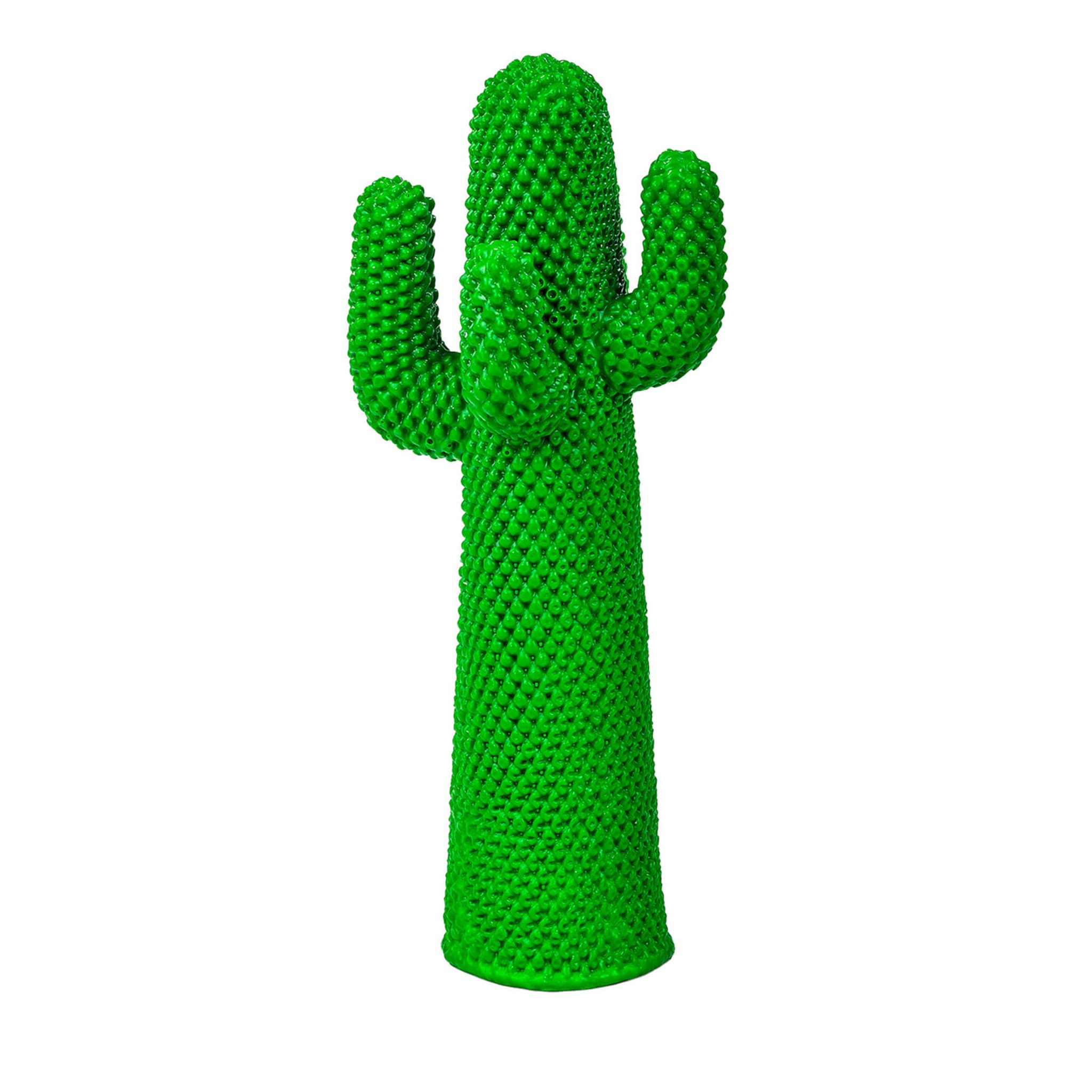 Cactus Guframini - Vue principale