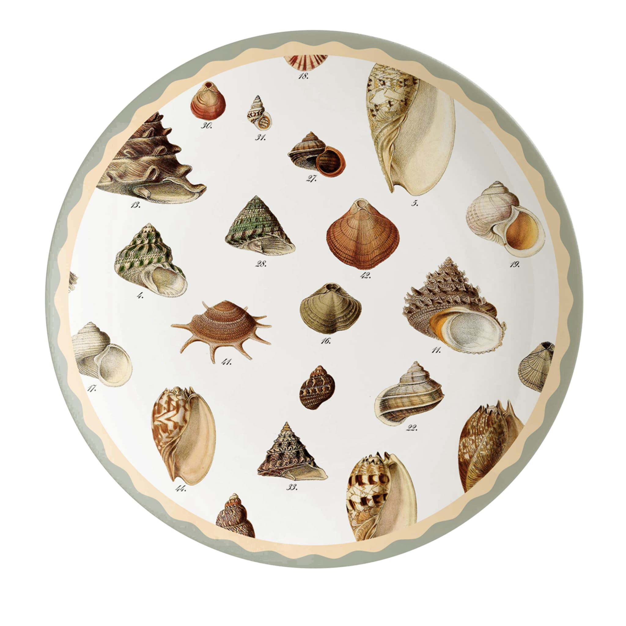 Cabinet de Curiosités Shells Set de 2 assiettes à dessert - Vue principale