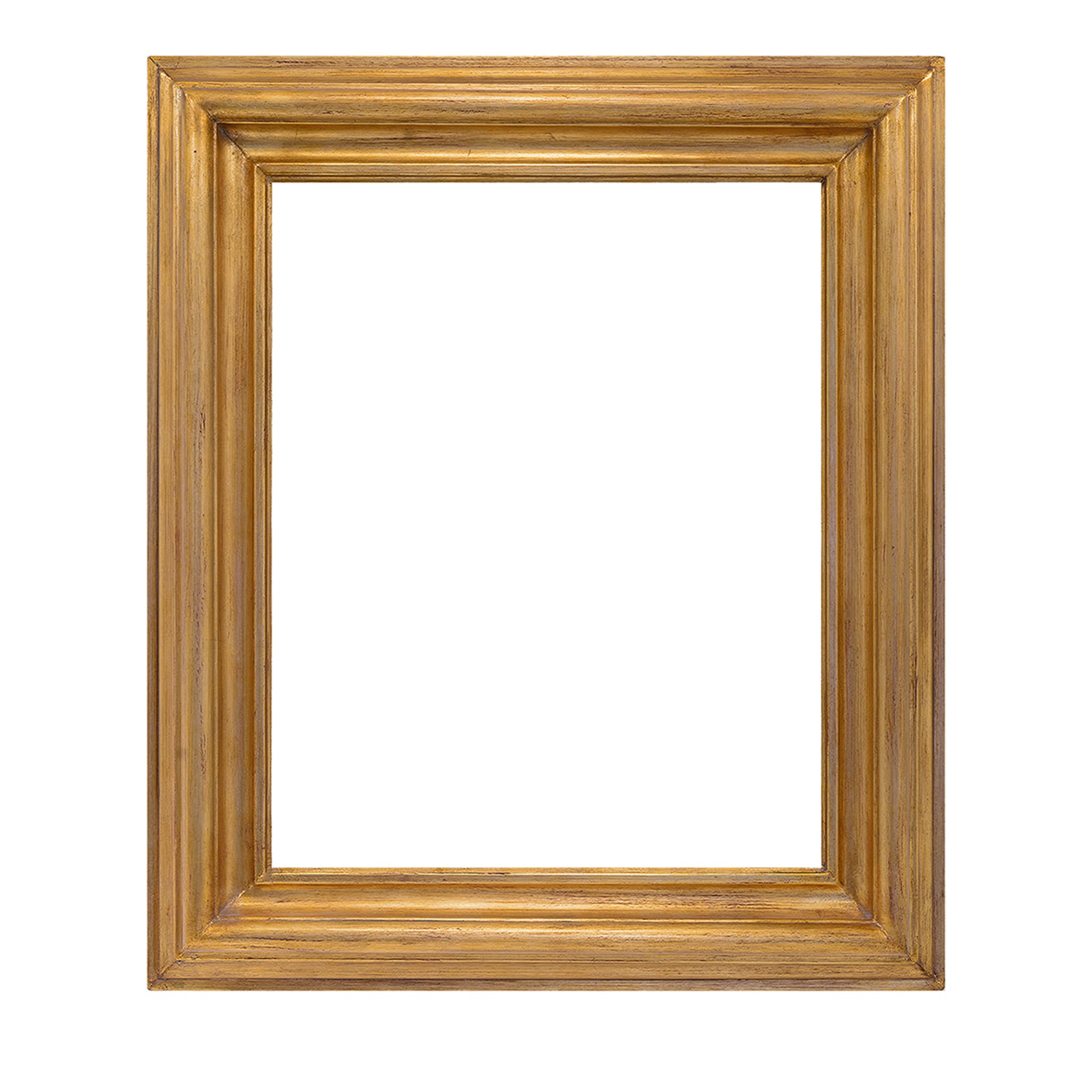 Salvator Rosa Gold Frame #2 - Main view