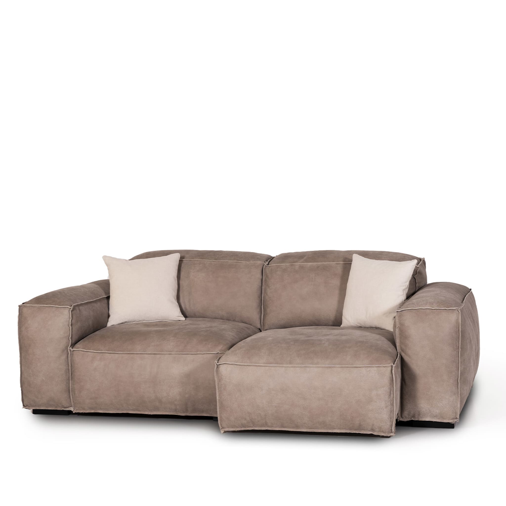 Placido 2 Seater Sofa in Gray Leather  - Alternative view 1