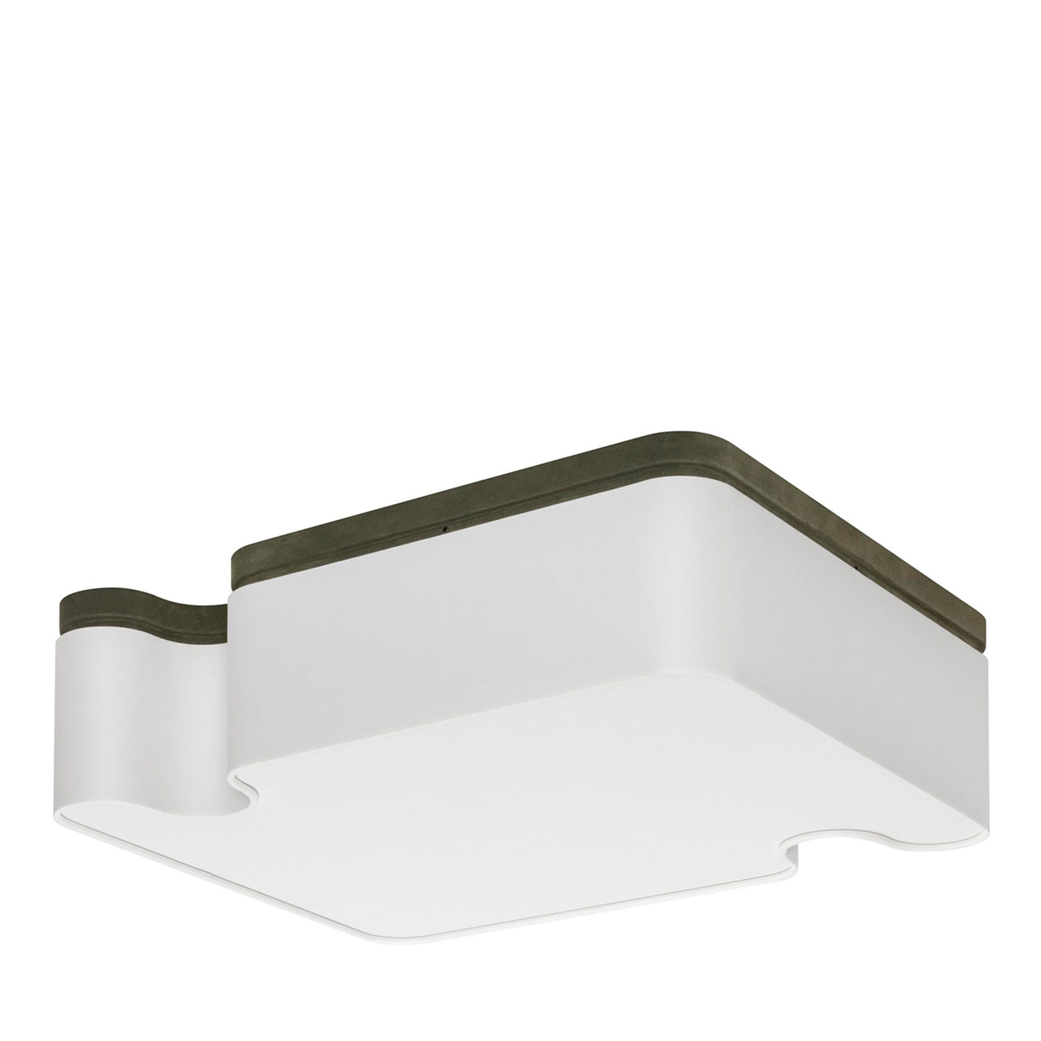 Ossicle Ceiling Lamp - Main view