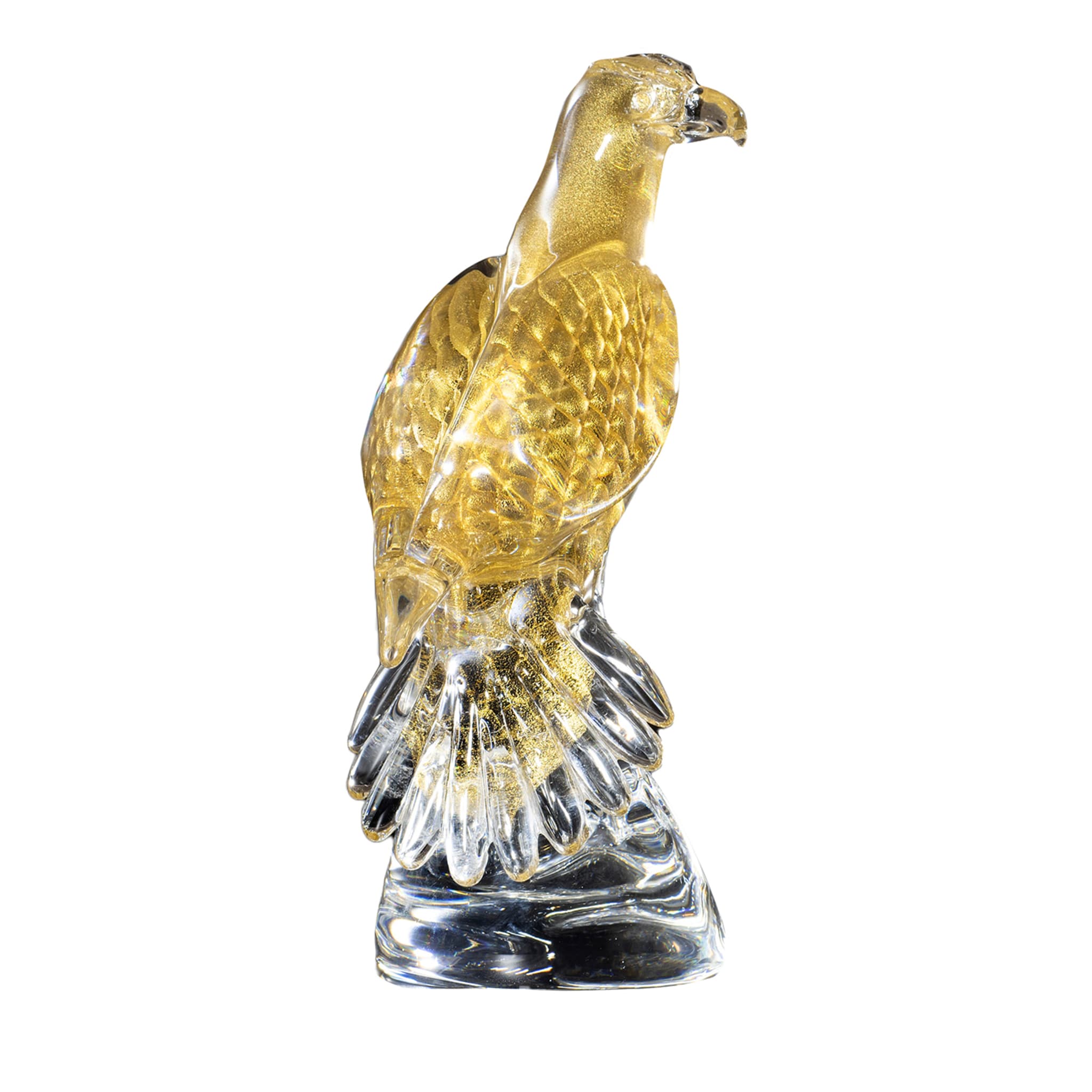 Falco d'oro - Vista principale