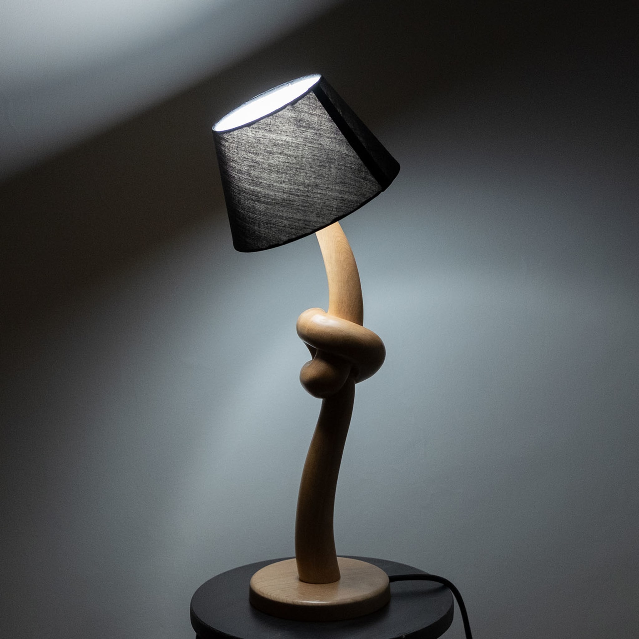 Knotted Table Lamp - Alternative view 4
