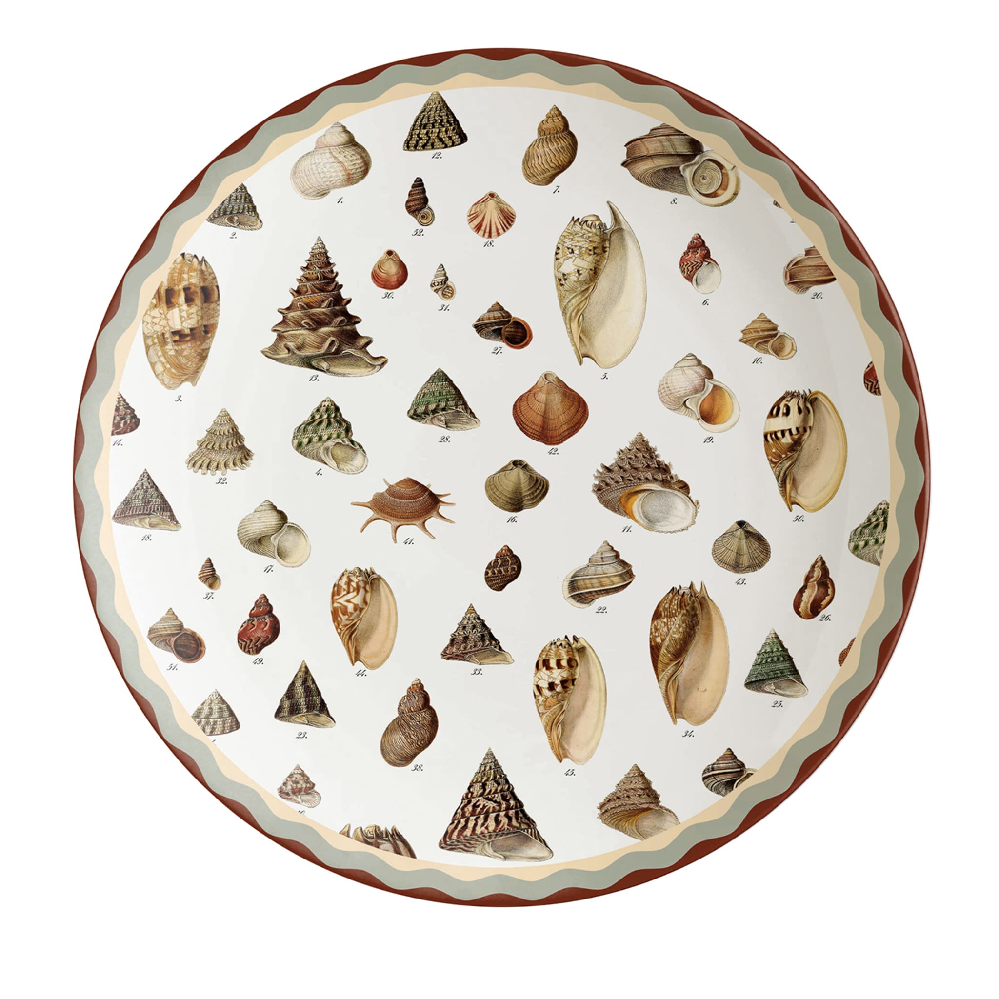 Cabinet De Curiosités Porcelain Charger Plate With Shells - Main view