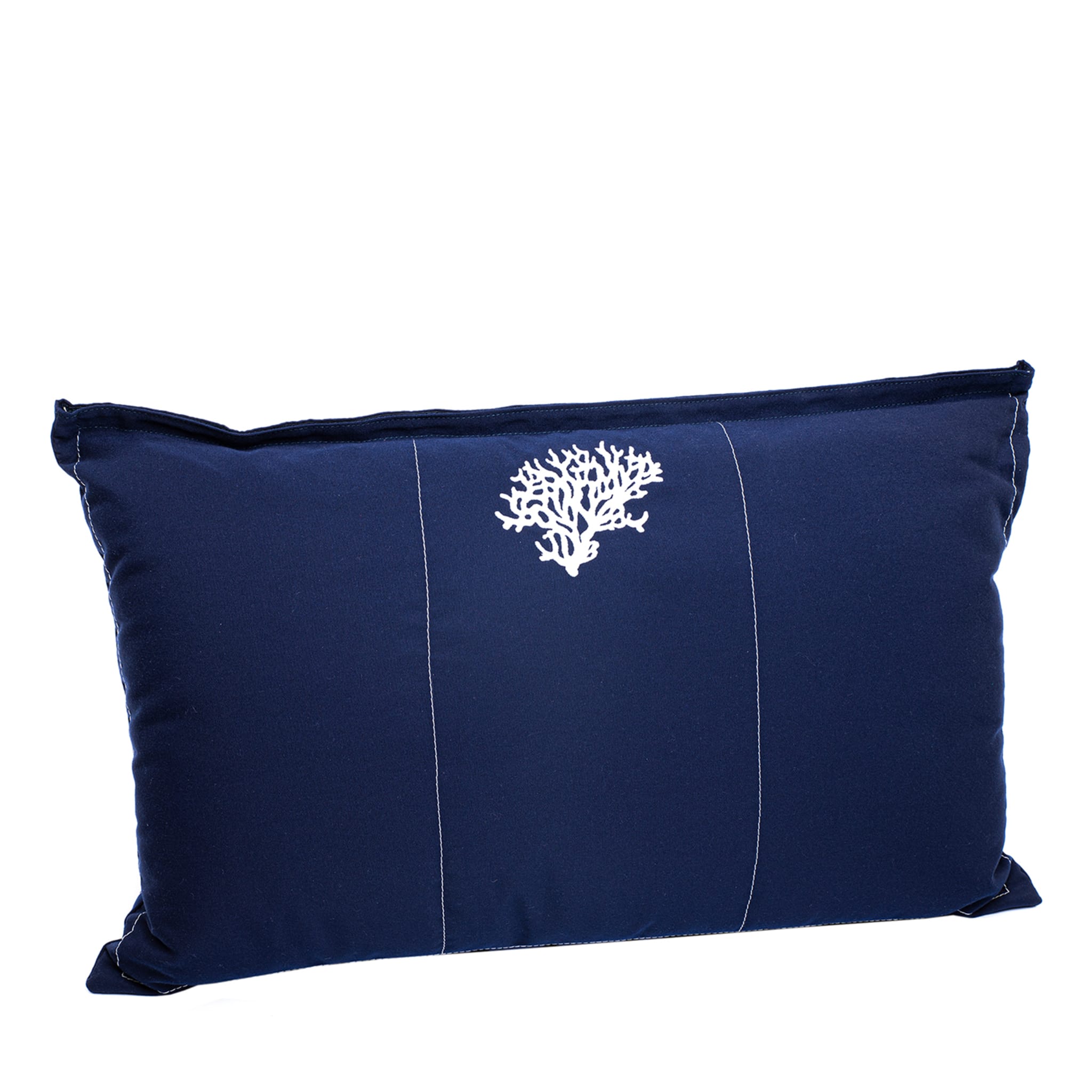 Set of 2 Rectangular Water-Resistant Blue Cushions - Main view