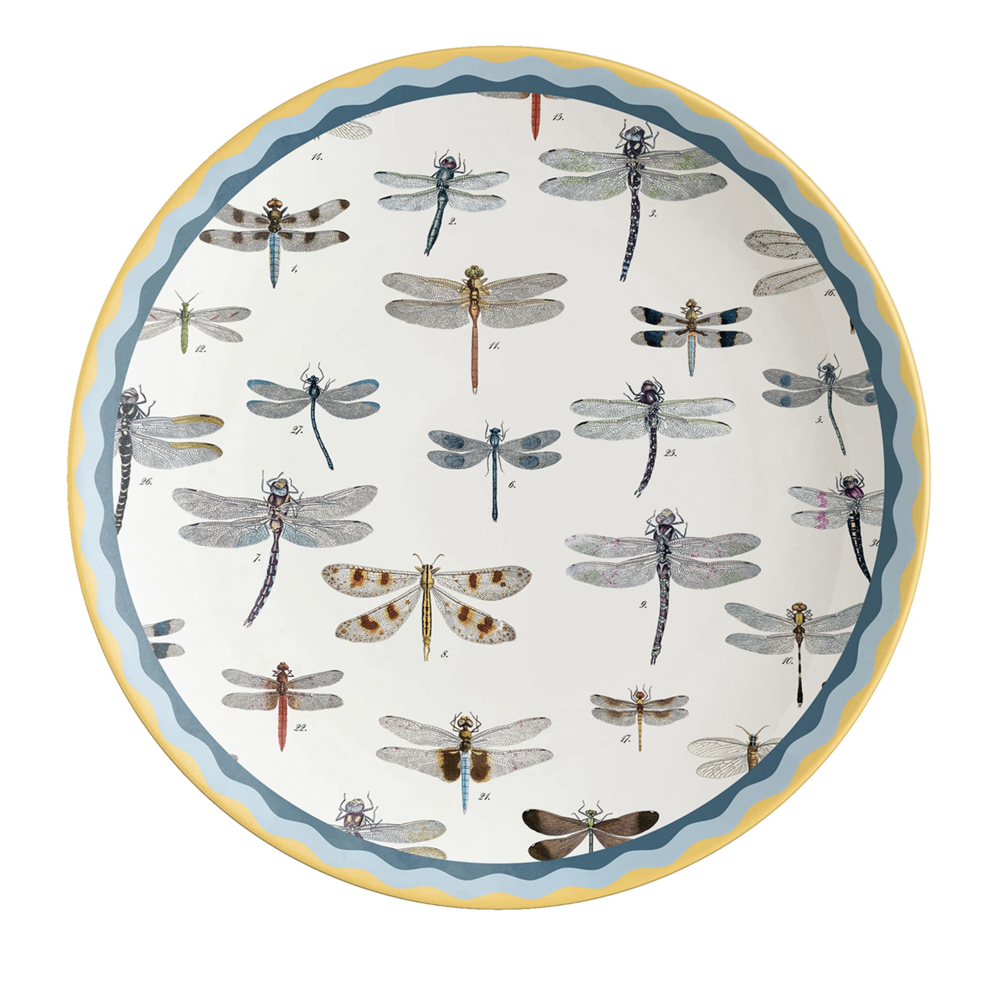 Cabinet De Curiosités Porcelain Dinner Plate With Dragonflies - Main view