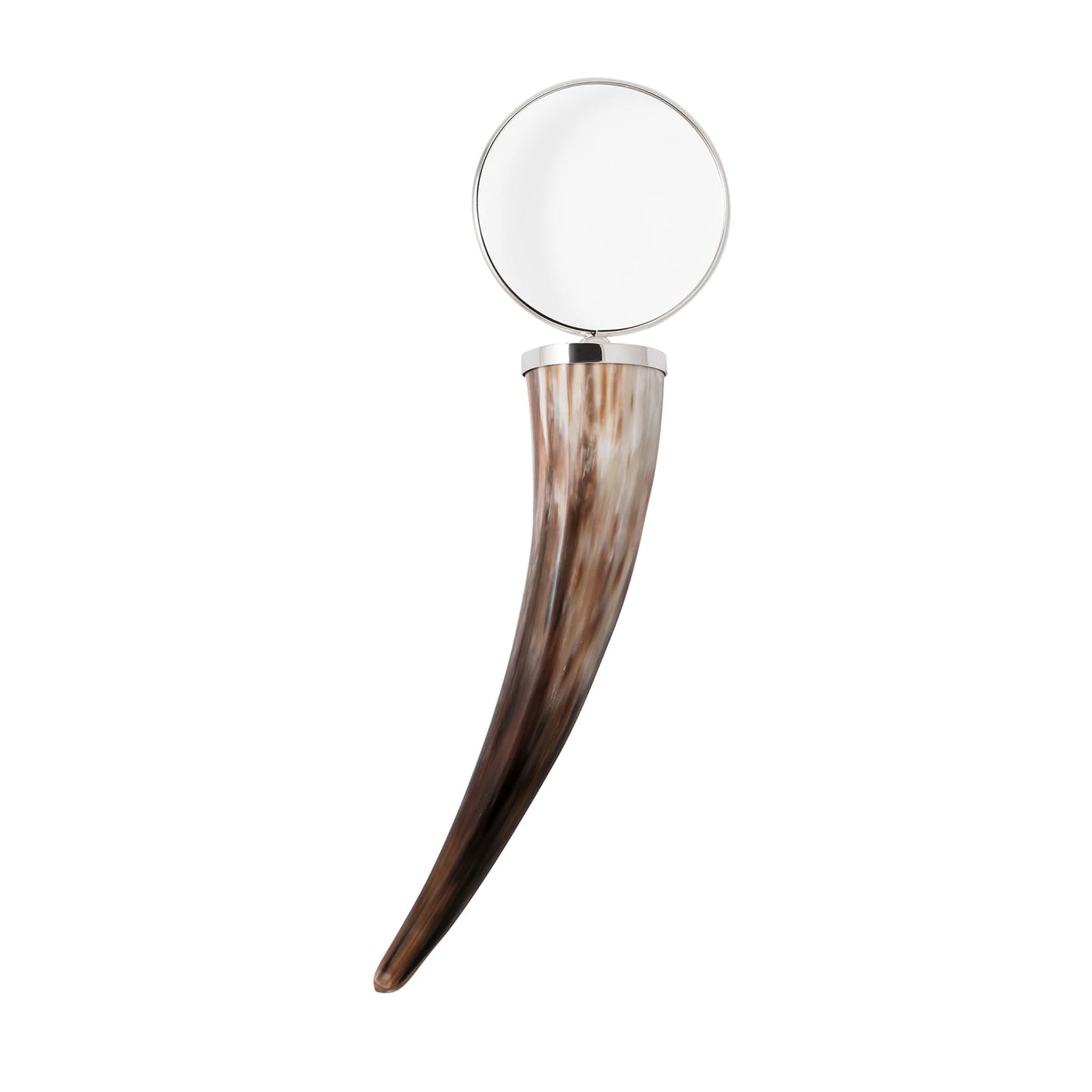 Large Magnifying Glass - Main view