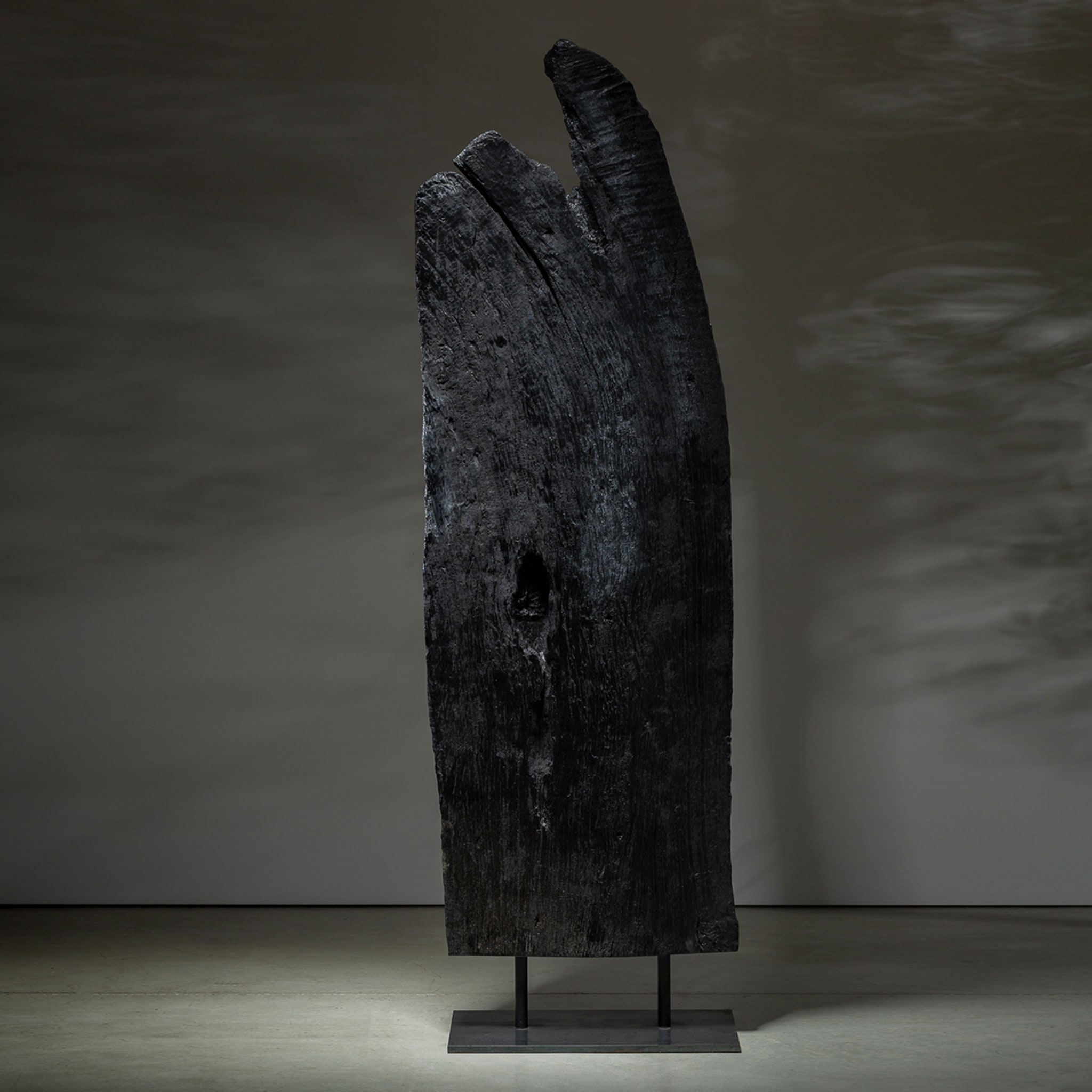 Linguat II Set of 2 Black Sculptures - Alternative view 2