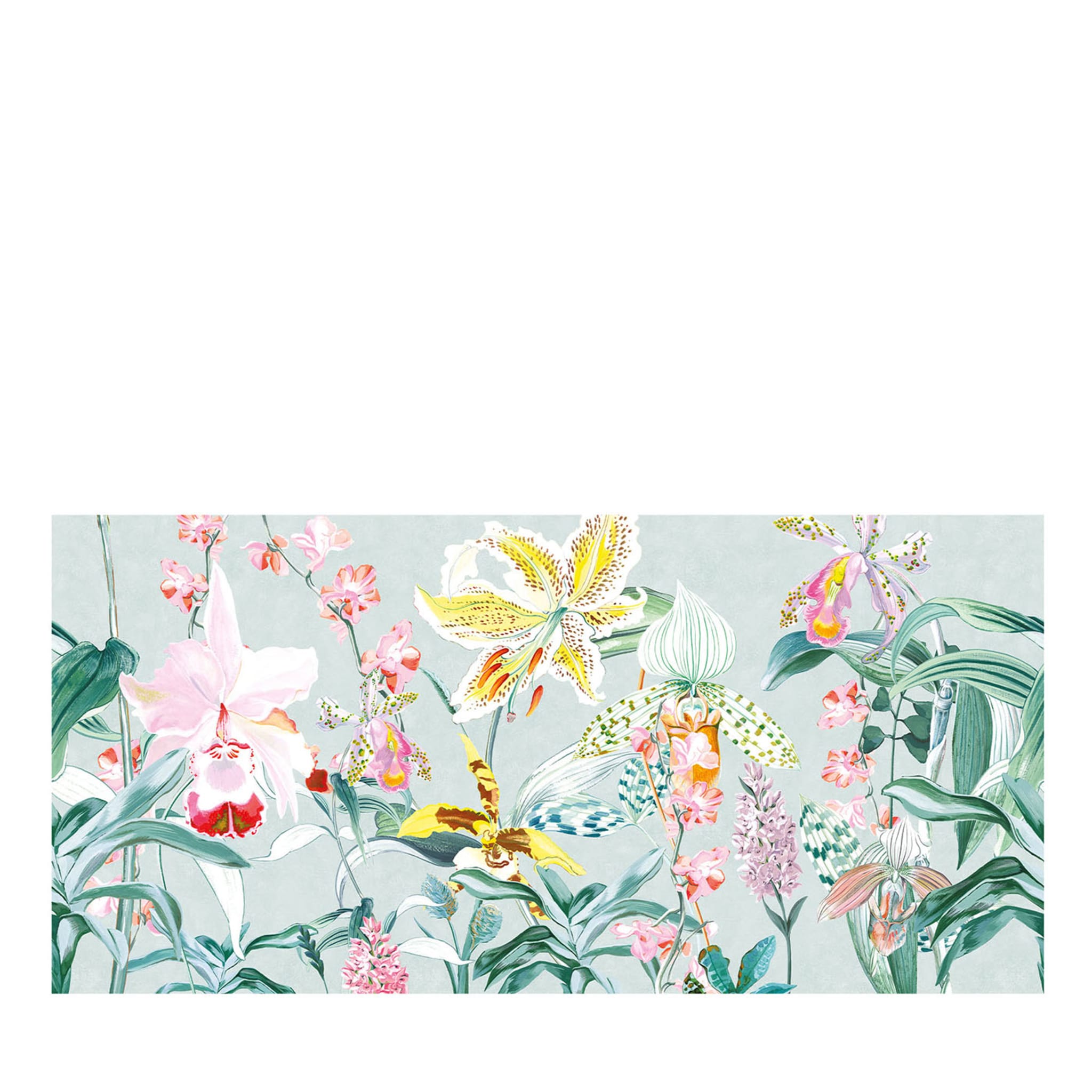 Aqua Orchid Panorama Macro Carta da parati collezione Camere - Vista principale