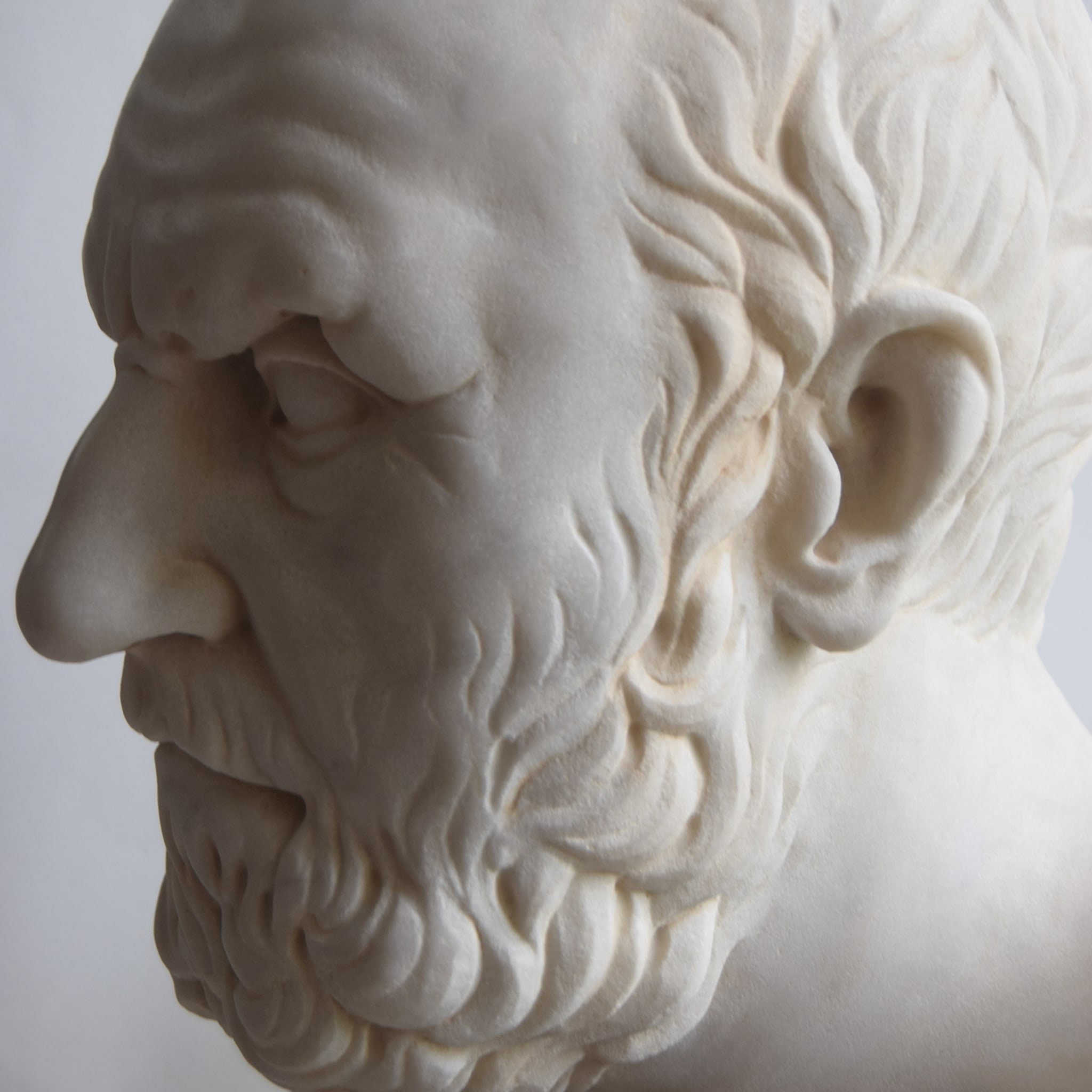 Hippocrates White Carrara Bust - Alternative view 5