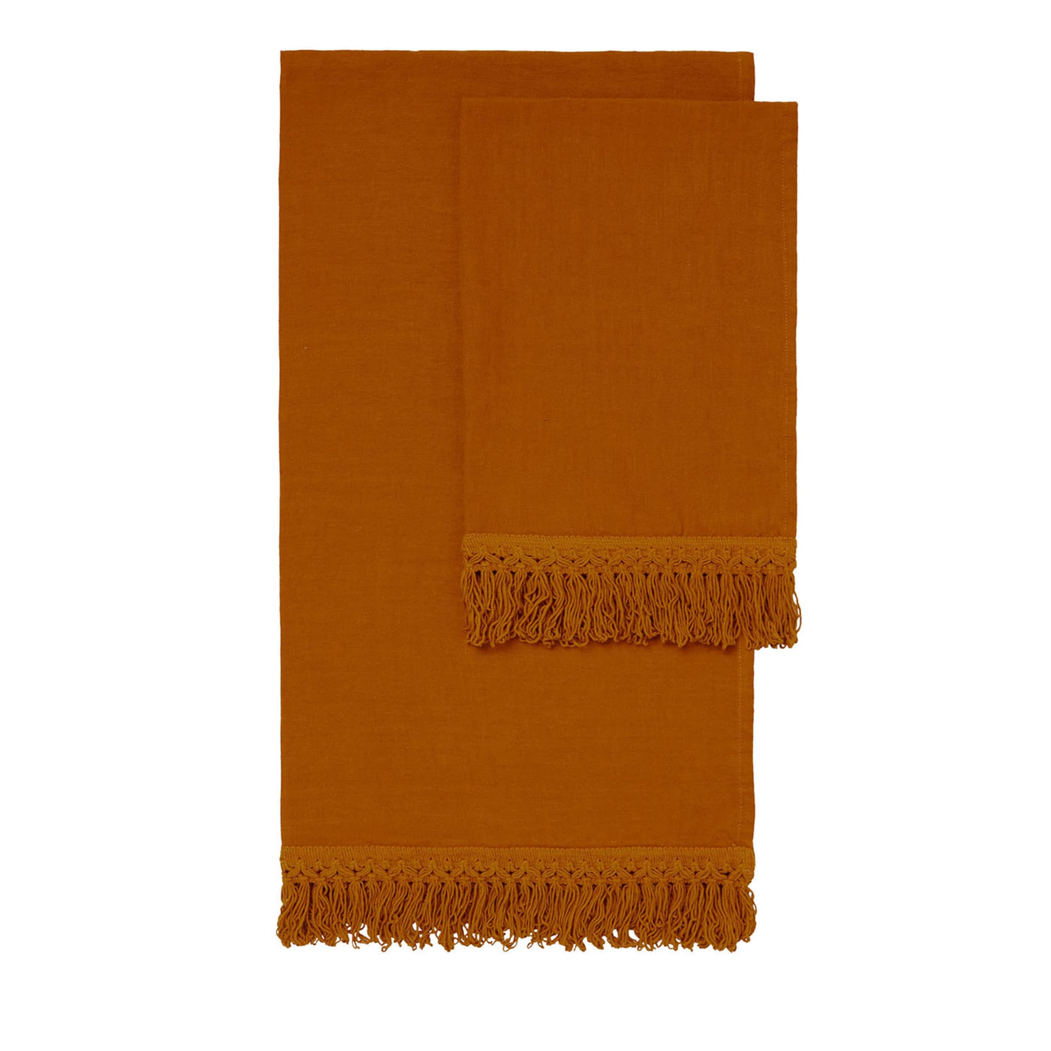 Set of 2 Sequoia Linen Towels with Long Fringes - Main view