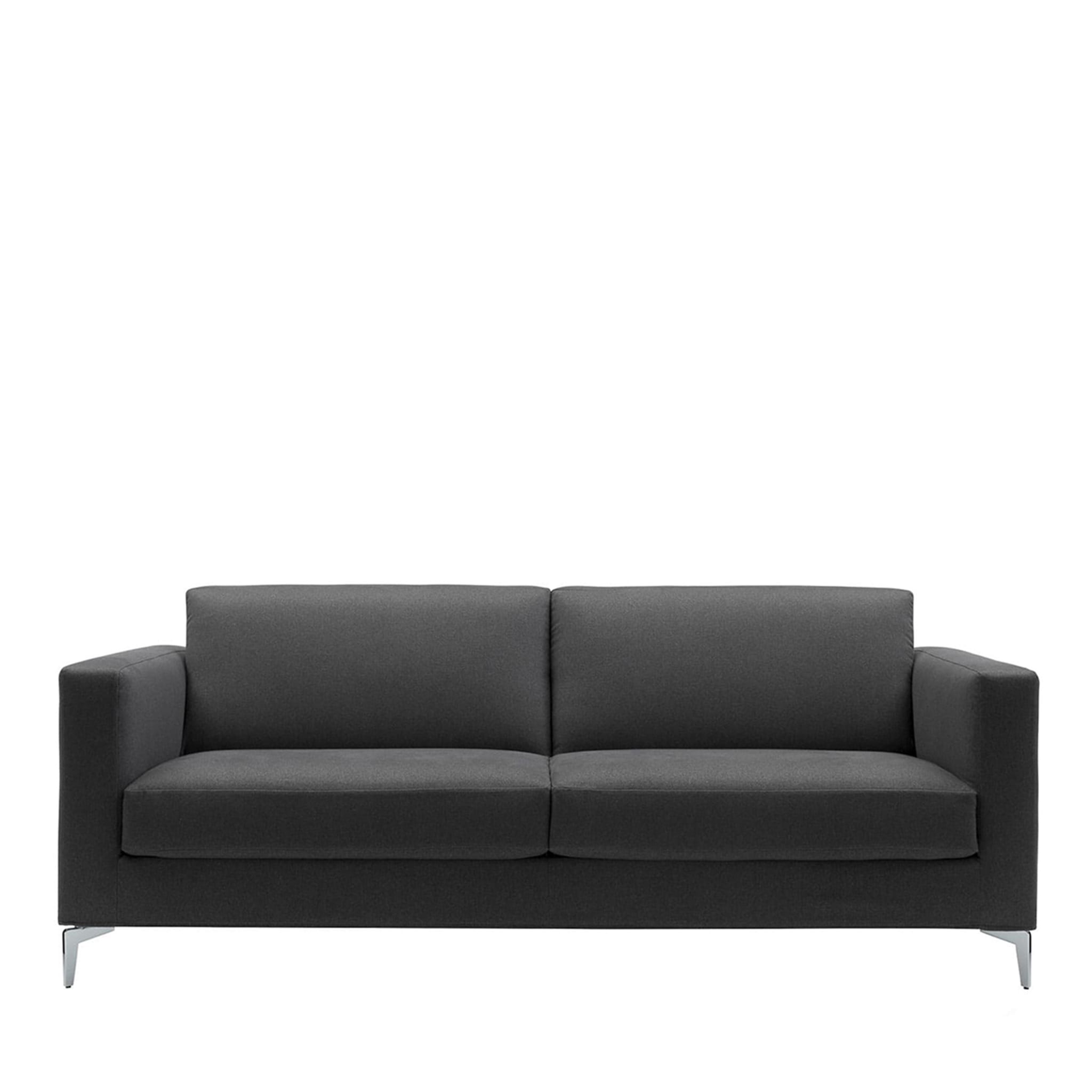 Richard Graphite-Gray Sofa Bed - Main view