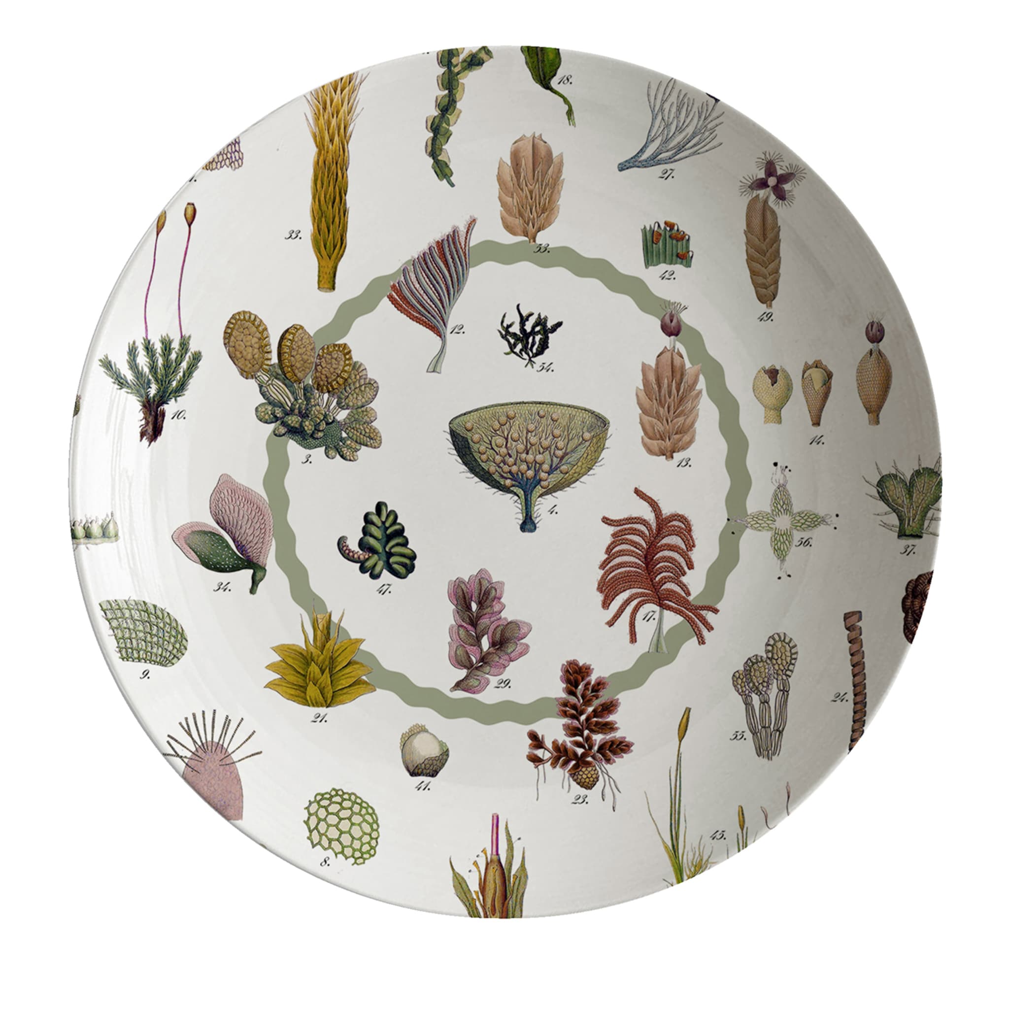 Cabinet De Curiosités Porcelain Soup Plate With Seaweed - Main view
