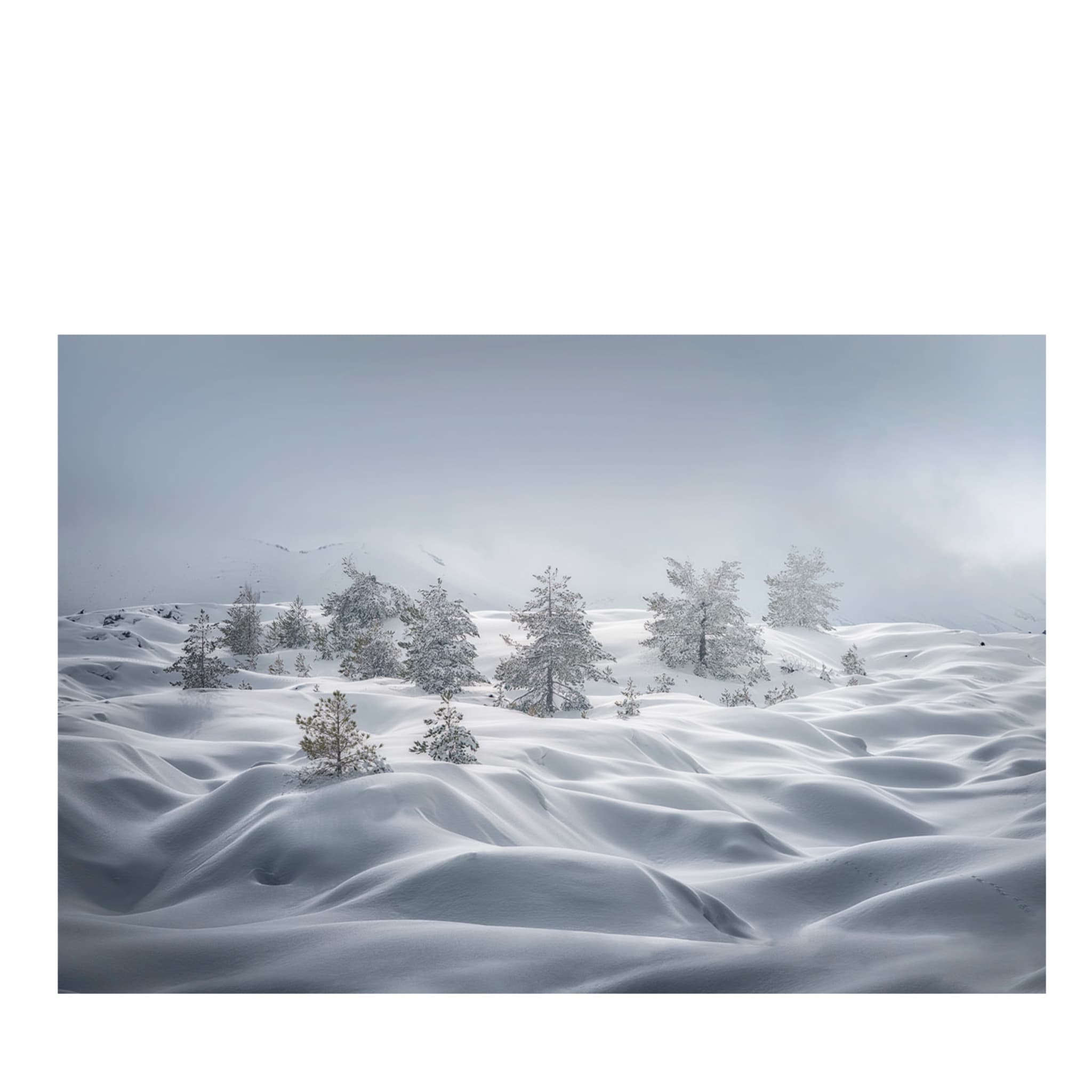 Stampa fotografica sulle dune di neve - Vista principale