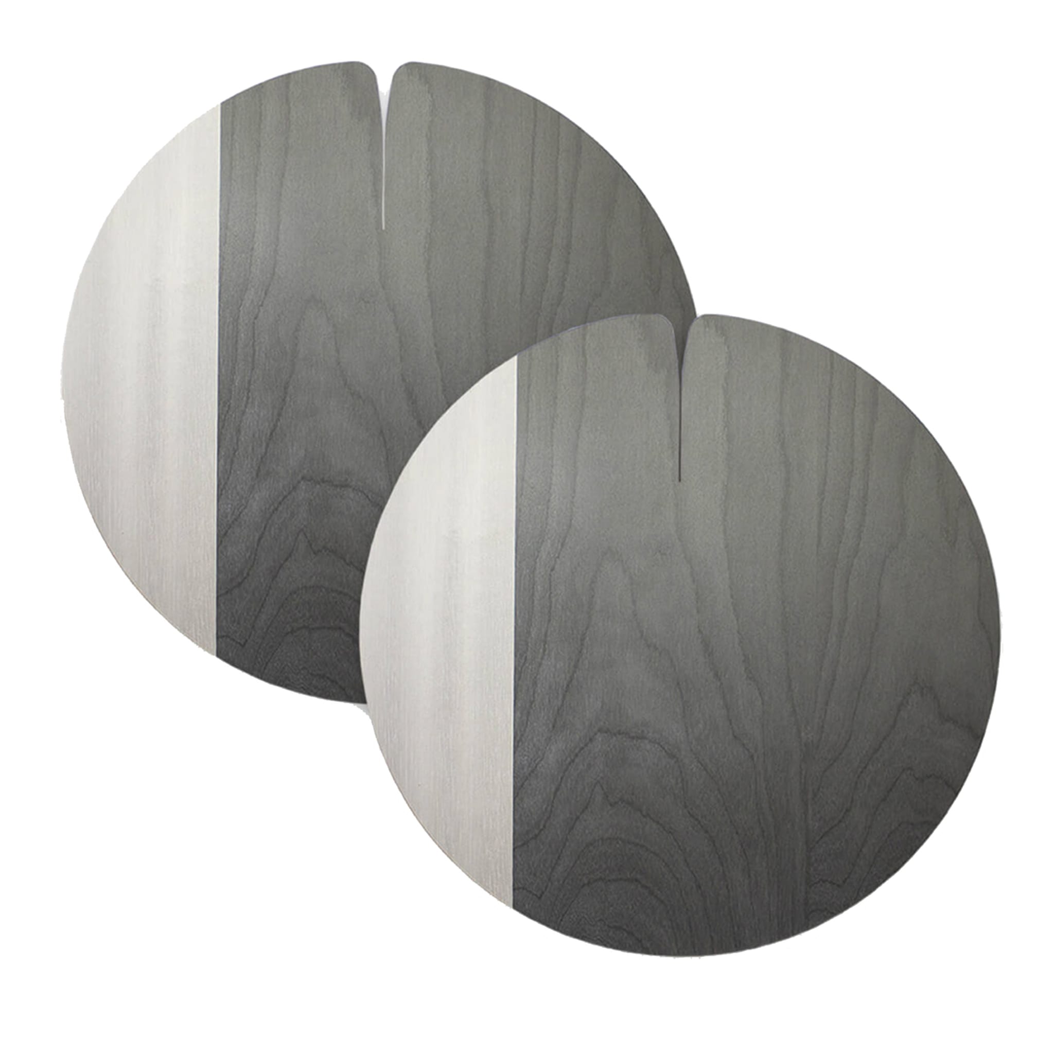 Nelumbo Large Gray Set of 4 Placemats - Vue principale