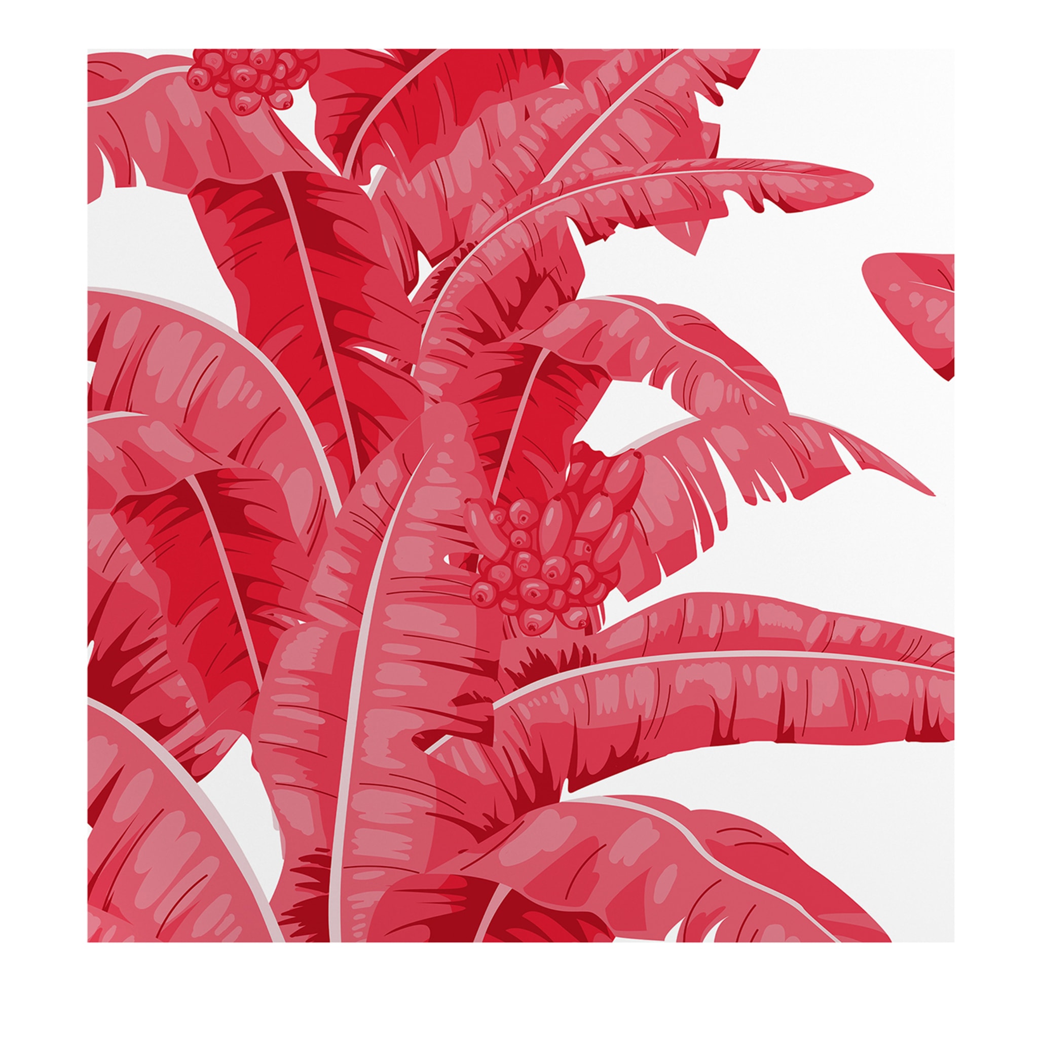 Papier peint tropical à feuilles de palmier en rouge et blanc - Vue principale