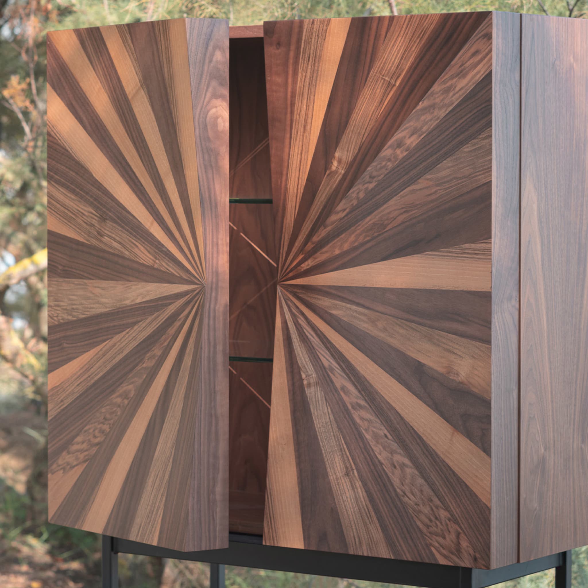 Veneered Wood Cabinet - Alternative view 2