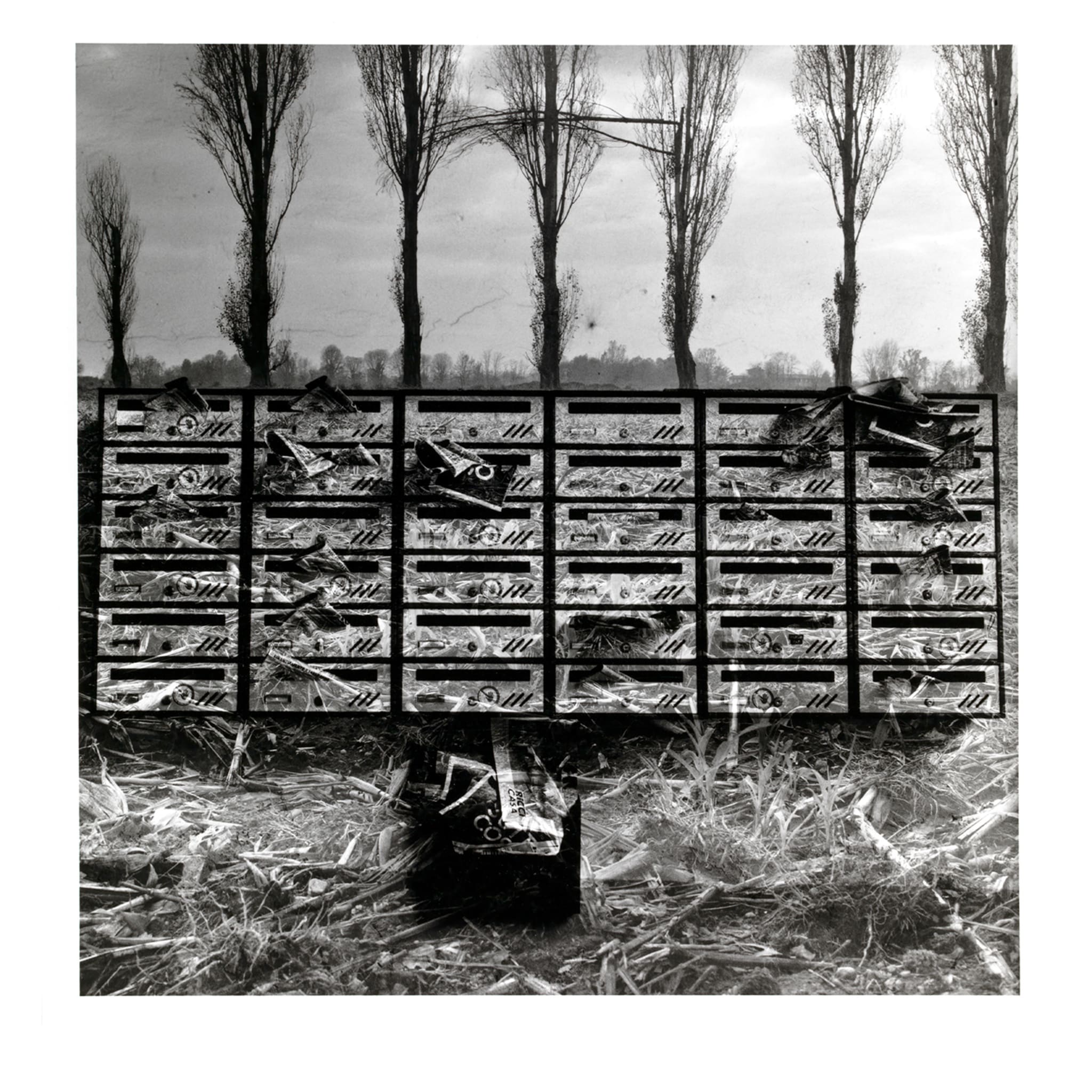 Poetica #16 - Hand-made Photographic Print - Main view