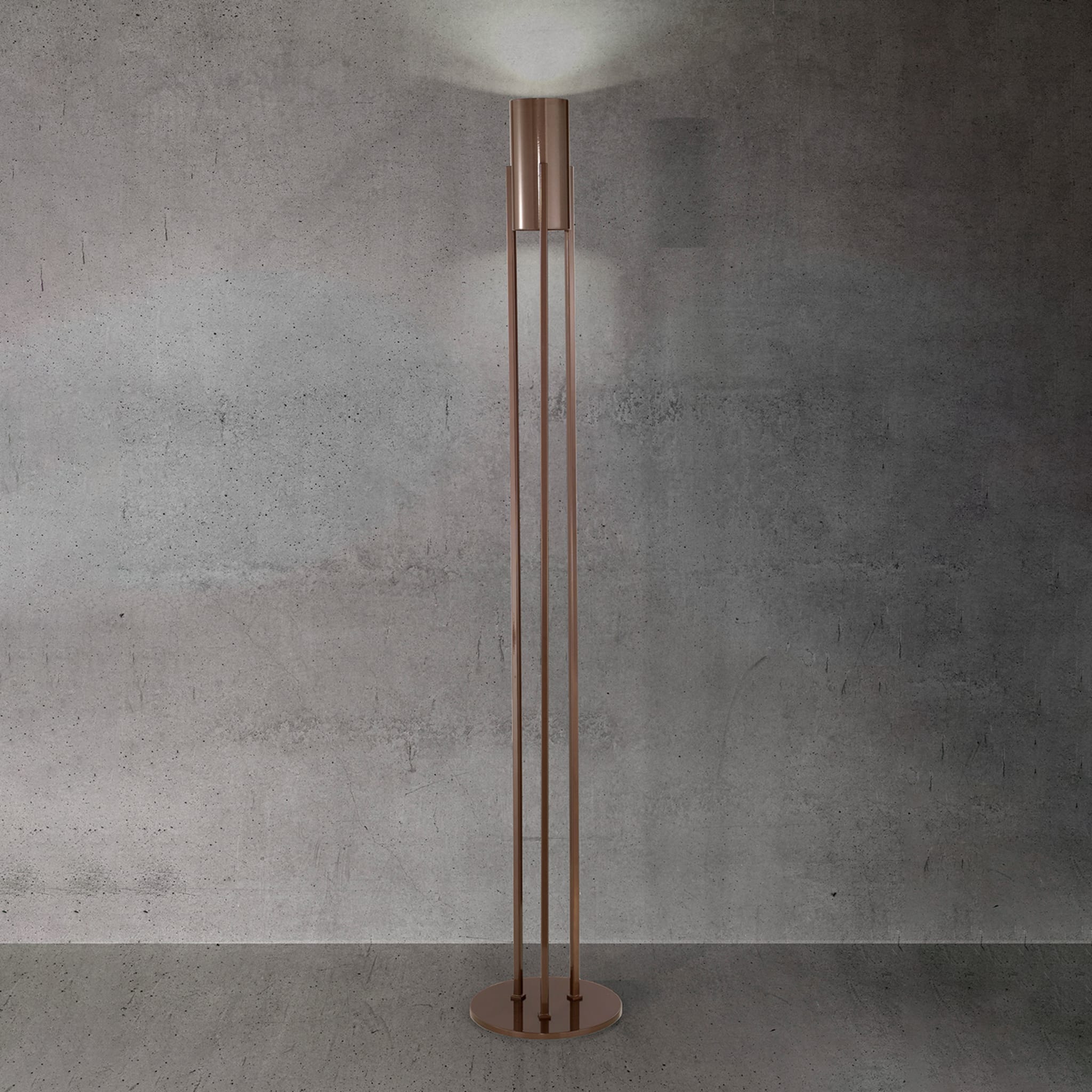 21513/P-M Bronze Floor Lamp - Alternative view 1