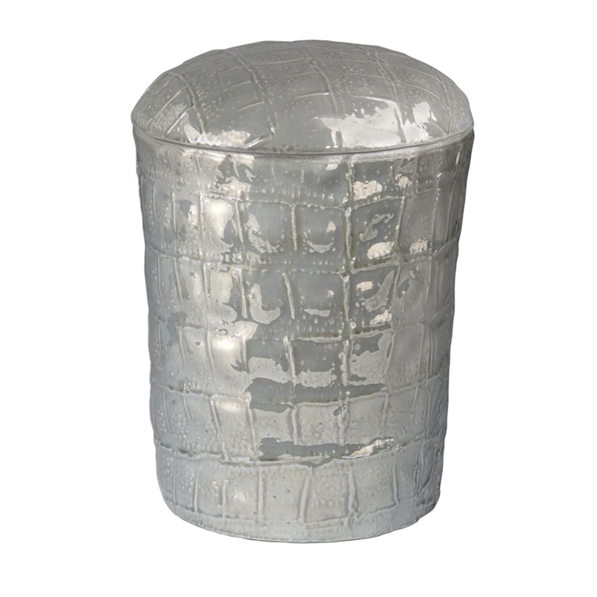 COCCO CANISTER - SILVER - Main view