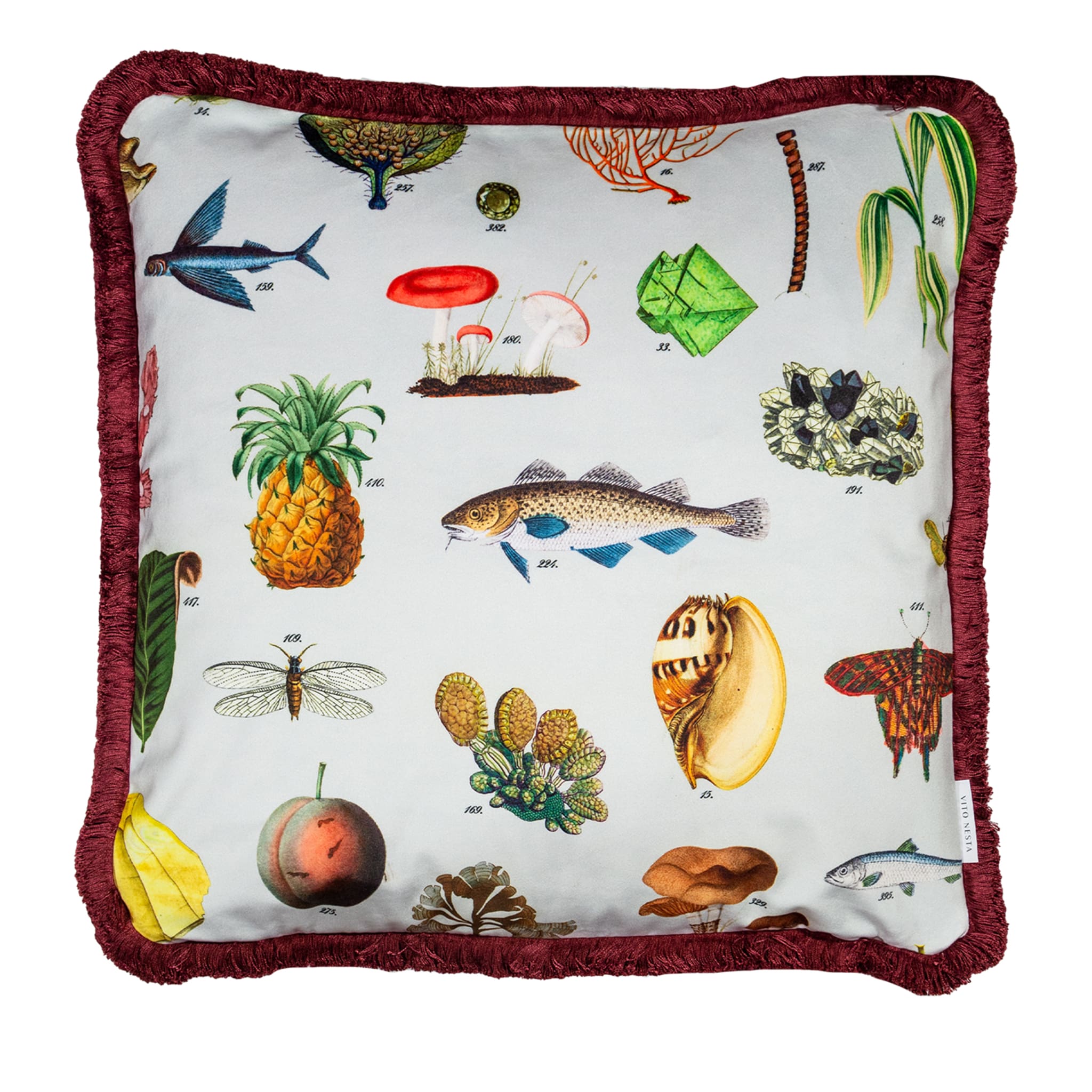 Cabinet De Curiosités Velvet Cushion With Natural Elements #2 - Main view