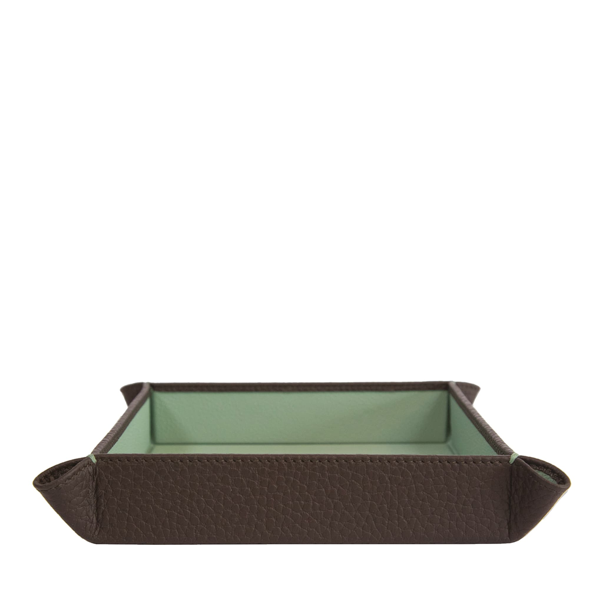 Michelangelo Brown and Green Empty-Pocket Tray - Main view
