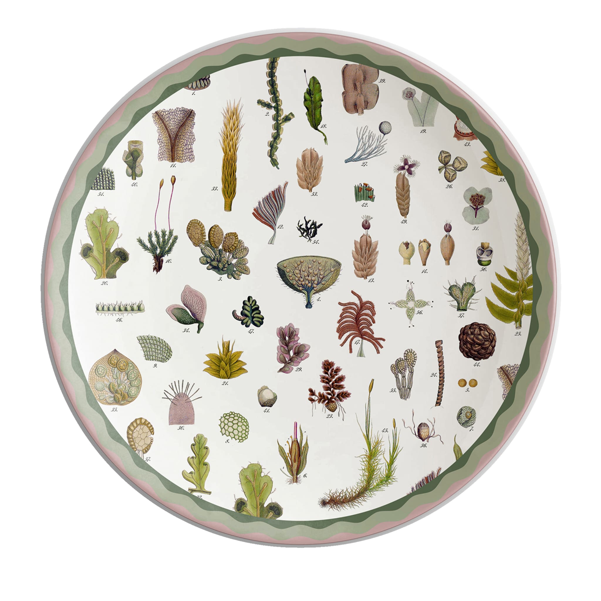Cabinet De Curiosités Porcelain Charger Plate With Seaweed - Main view