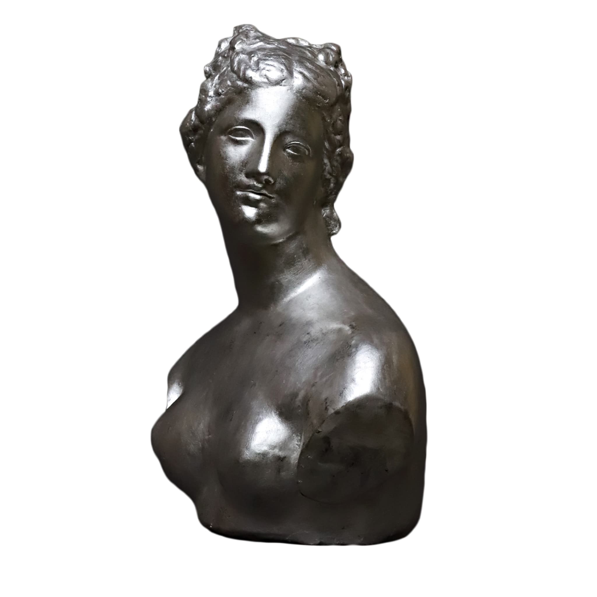 Venere de' Medici Silberne Gips-Skulptur - Hauptansicht
