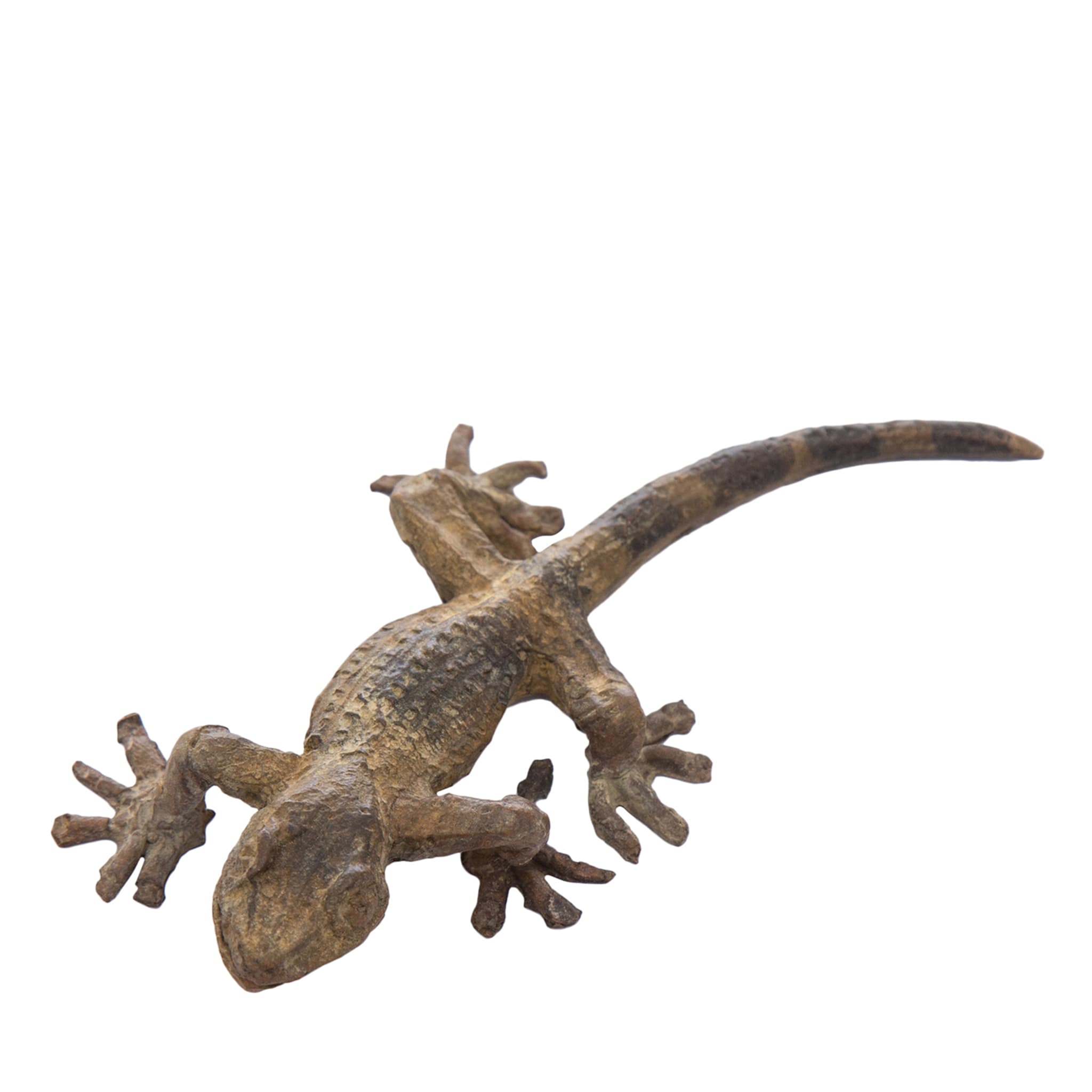 Gecko Scultpure - Hauptansicht