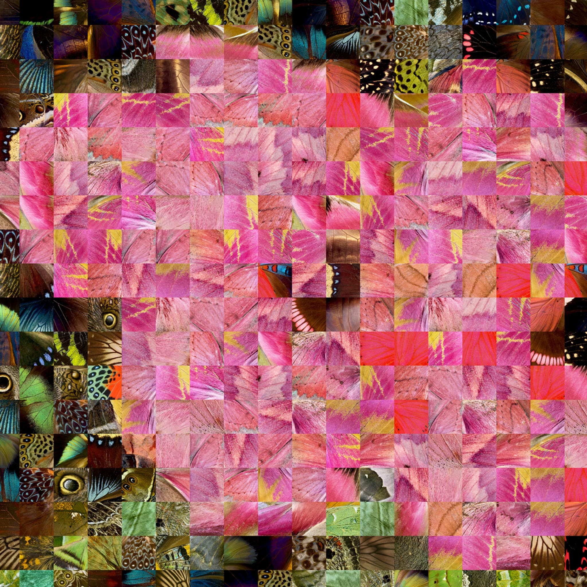 Hibiscus N.1 Puzzling Pop Print Series 2019 - Alternative view 2