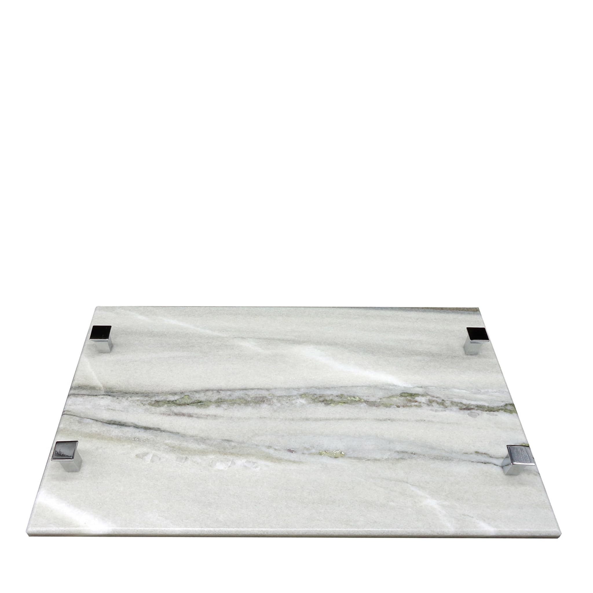 Rectangular Palissandro Tray with Steel Inserts - Main view