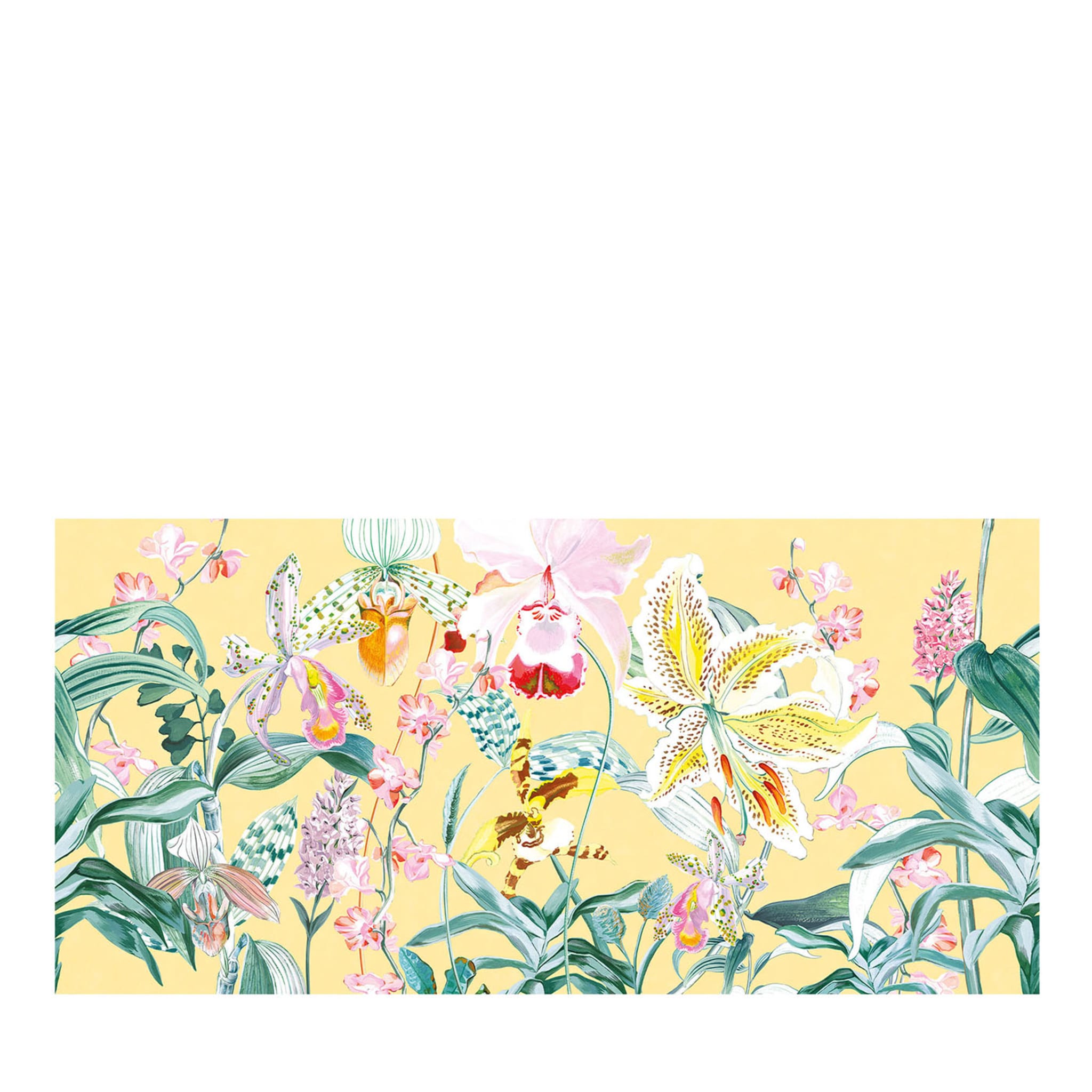 Gelbe Orchidee Panorama Makro Tapete Camere Kollektion - Hauptansicht