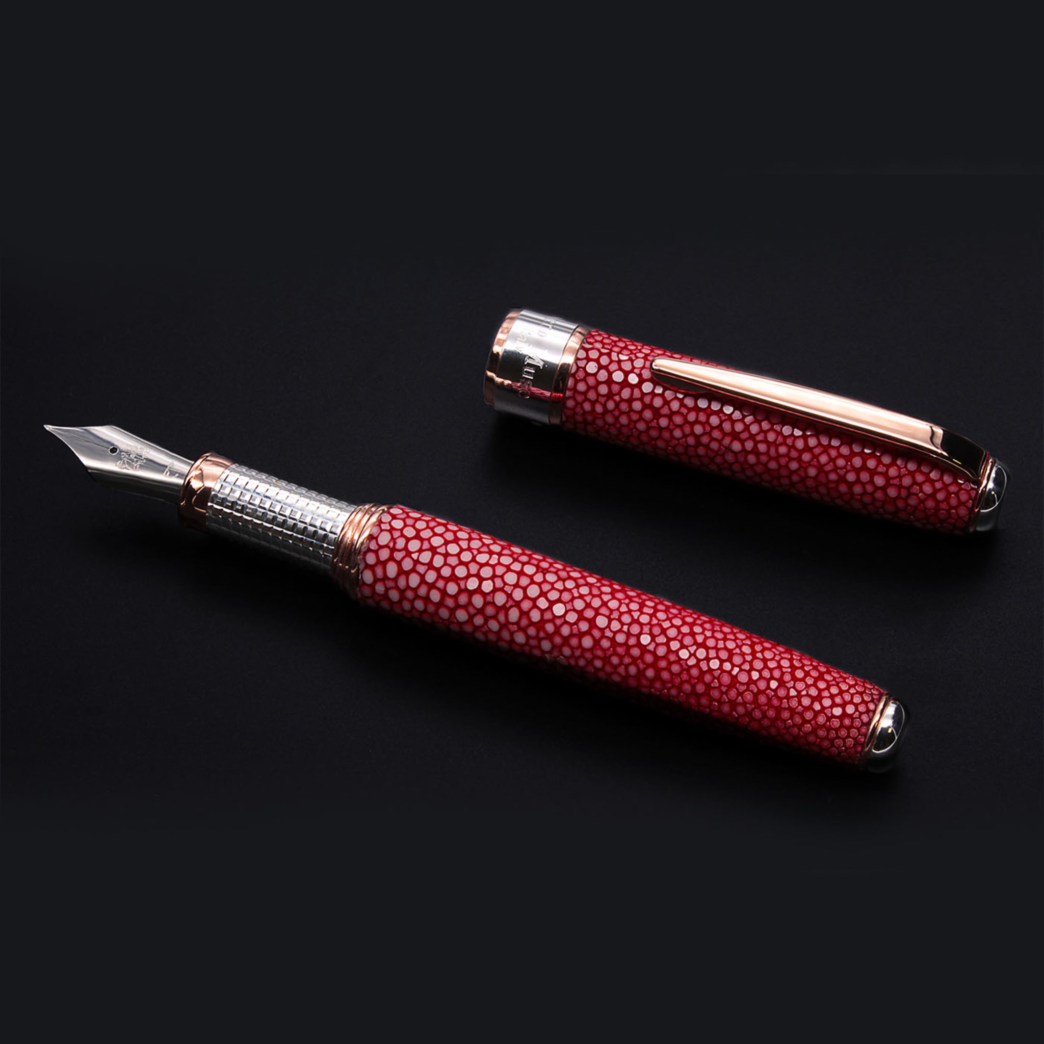 Red Galuchat Leather Fountain Pen - Alternative view 3