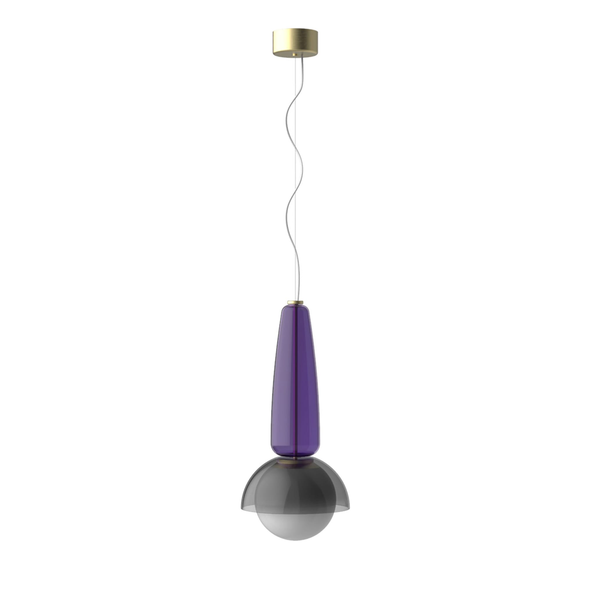 Cioppo Purple Suspension Lamp - Main view