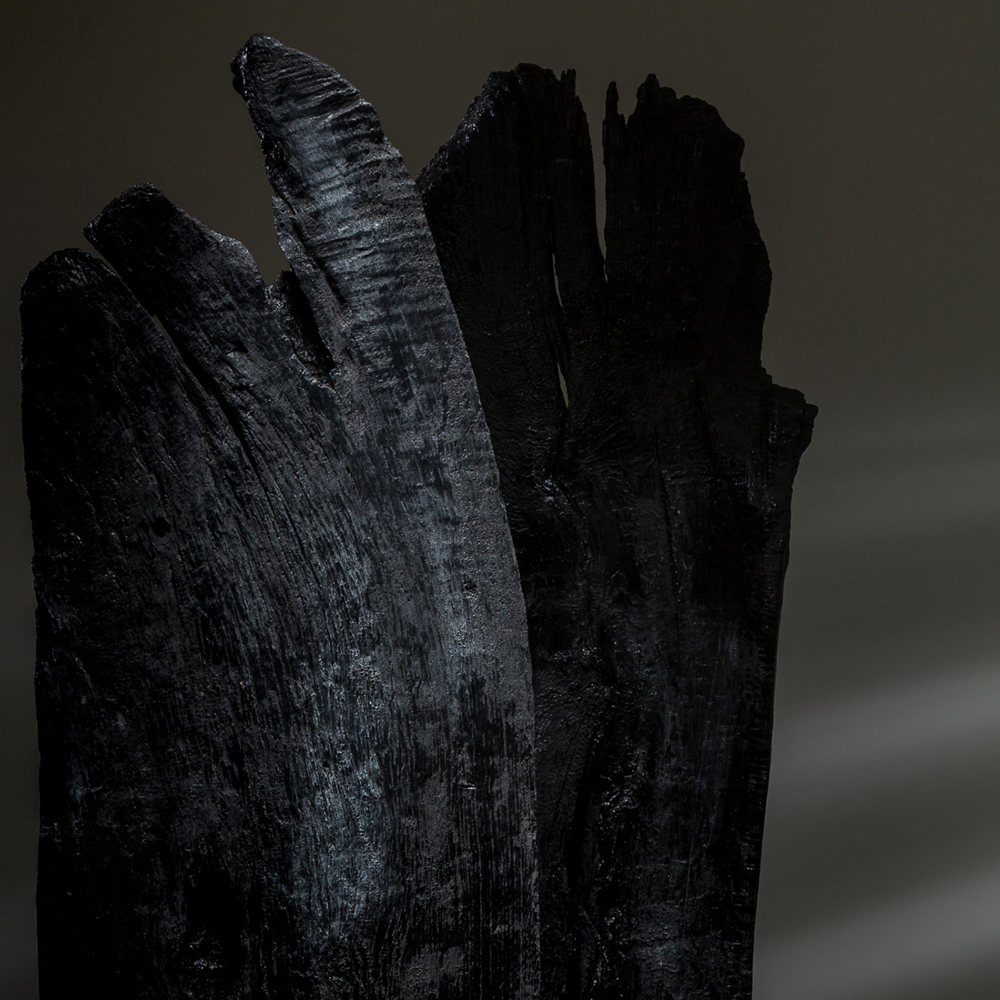 Linguat II Set of 2 Black Sculptures - Alternative view 1