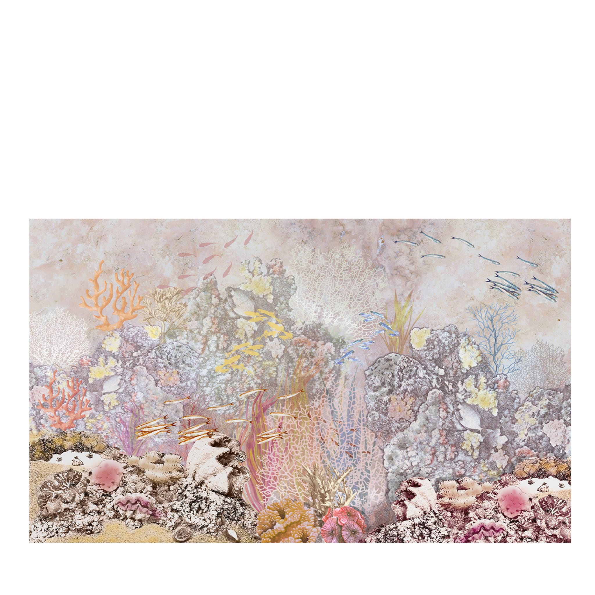 Hinter Reef Color Wallpaper - Hauptansicht