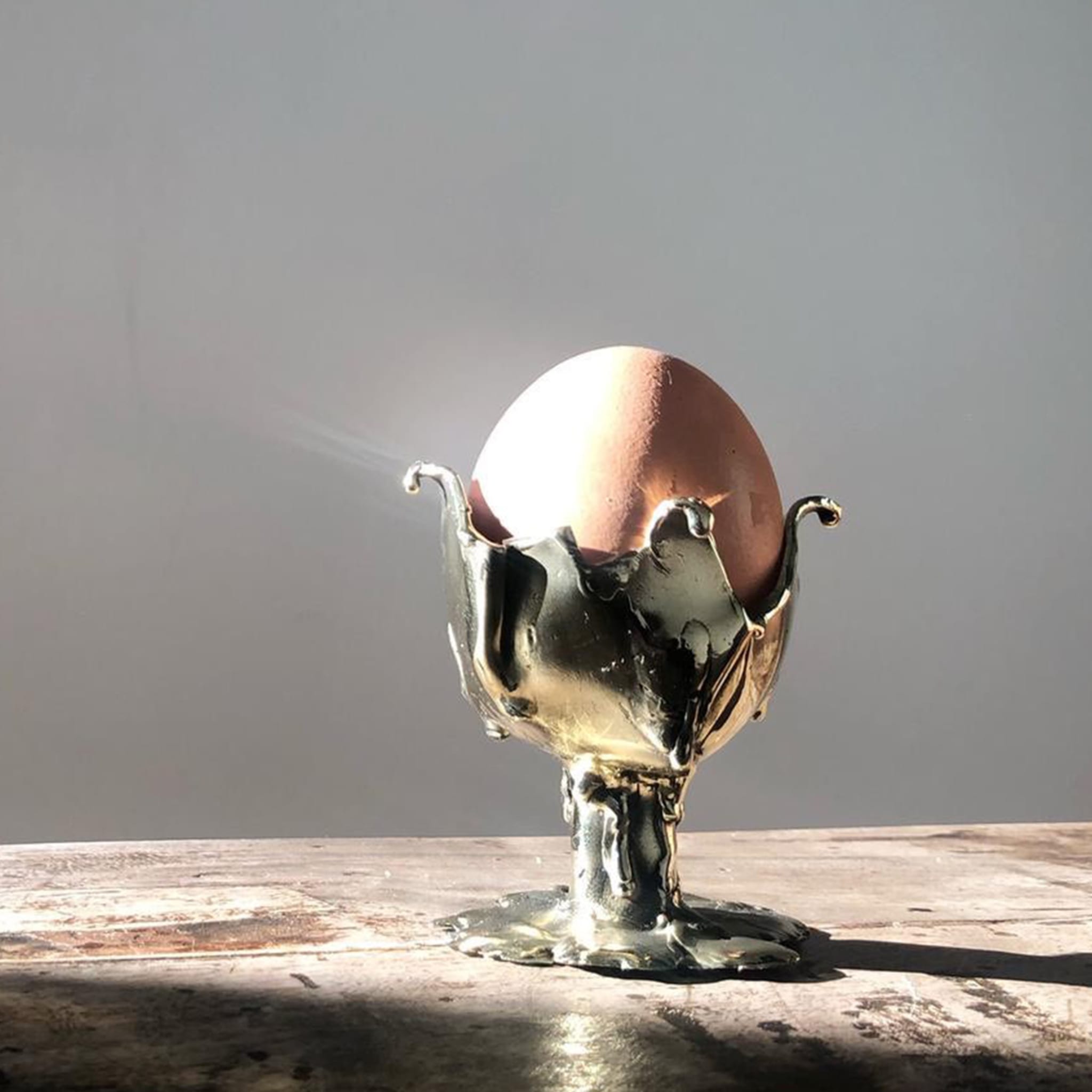 Egg Carrier - Alternative view 1