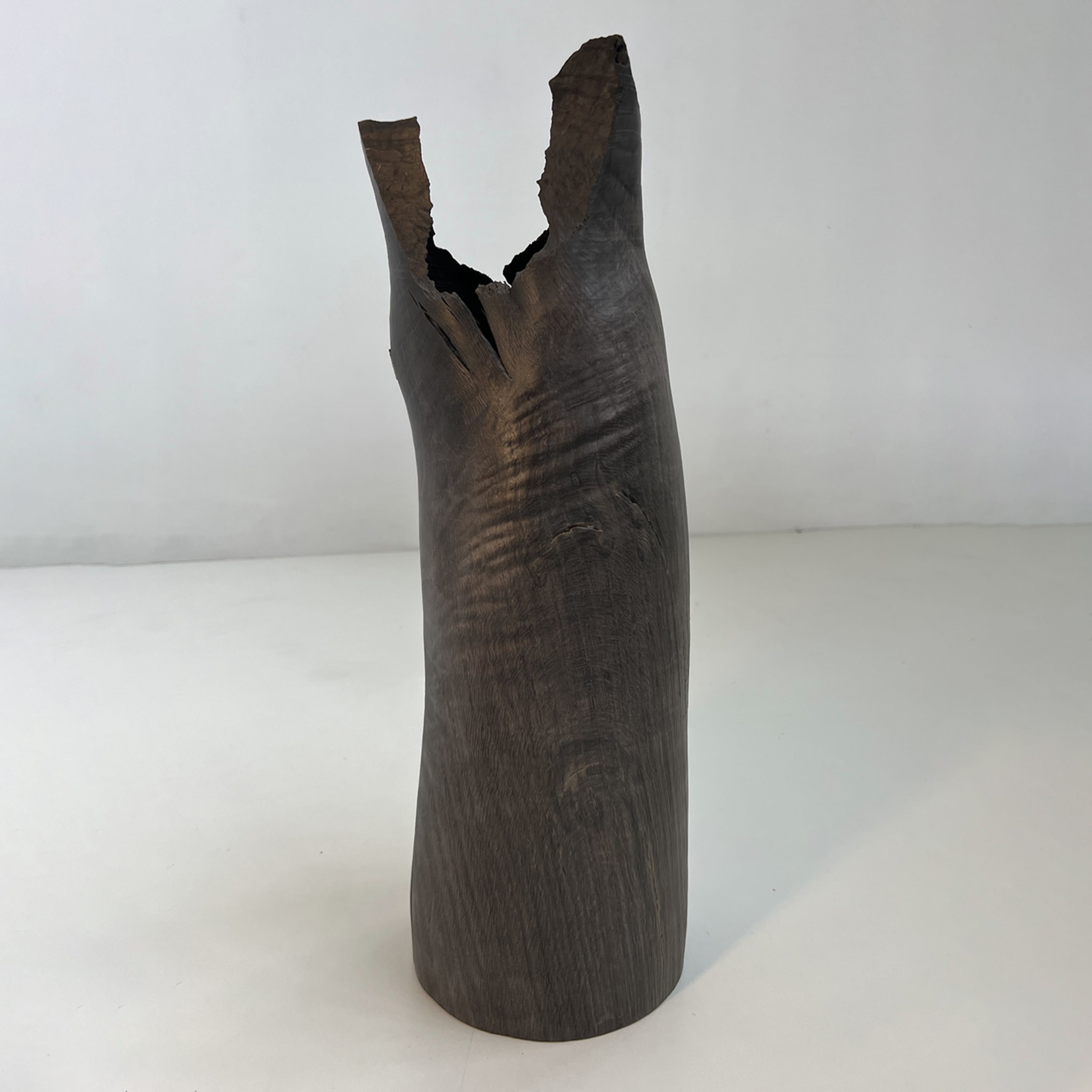 Fossil Oak Hollow Vase #3 - Alternative view 1