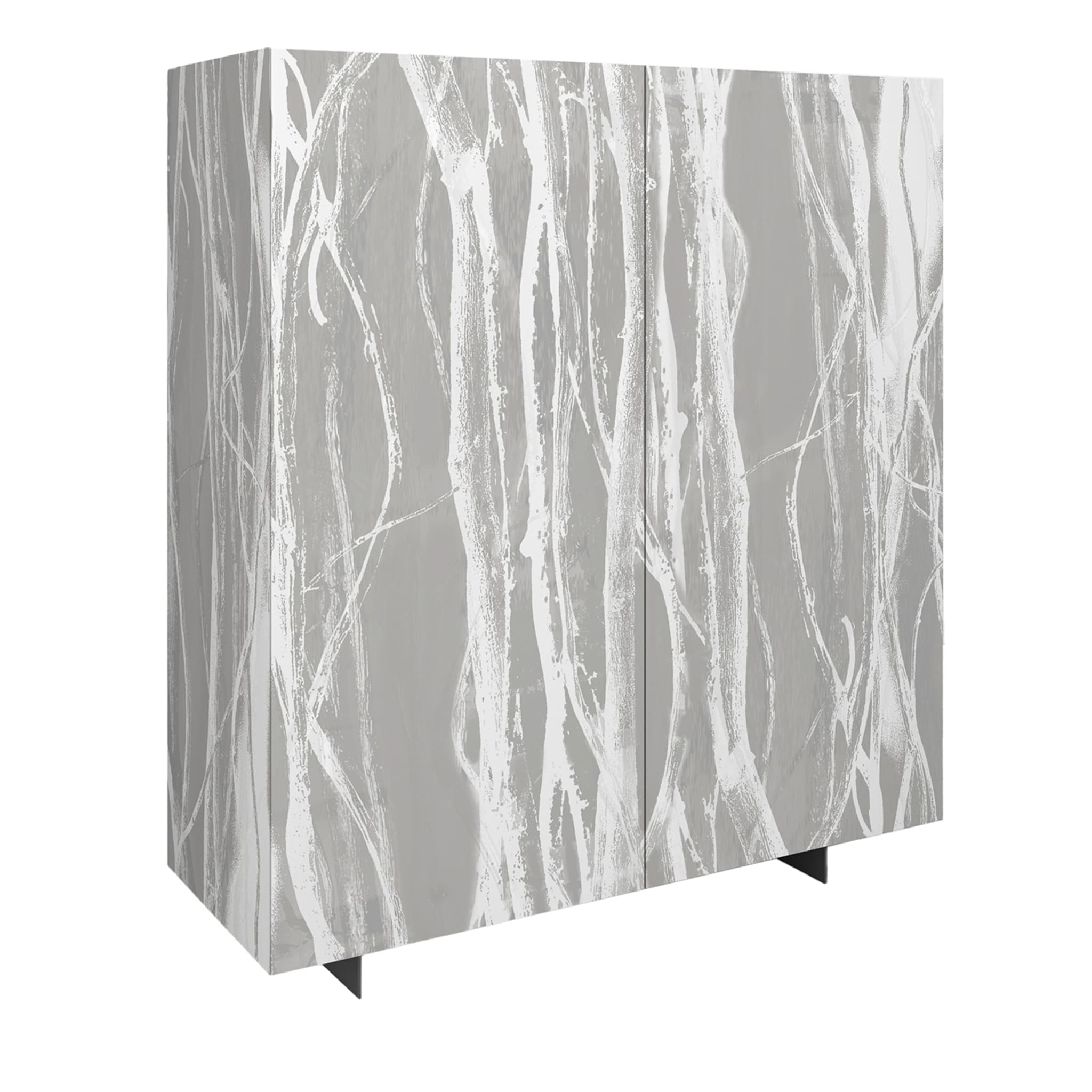 Wall Dress Forest 2-Door Gray Cabinet - Main view