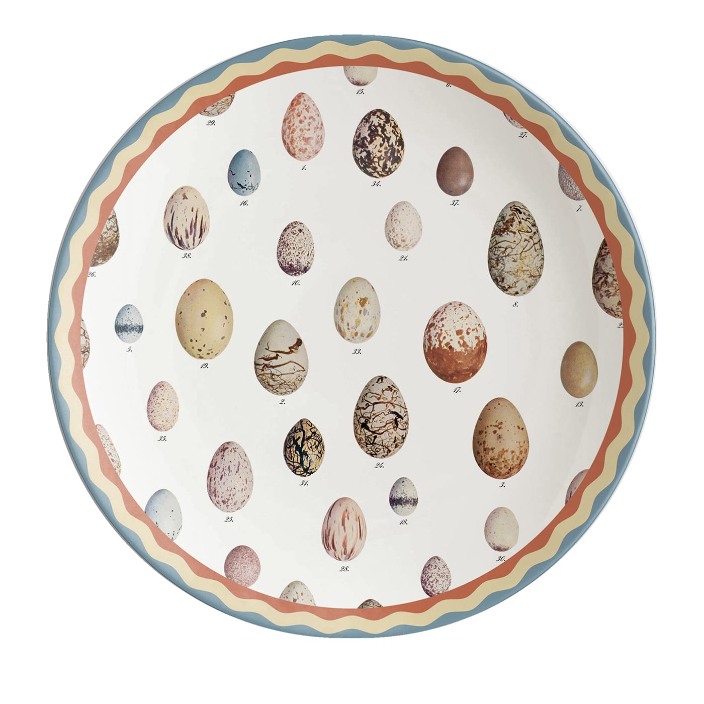 Cabinet de Curiosités Eggs Dinner Plate - Grand Tour by Vito Nesta