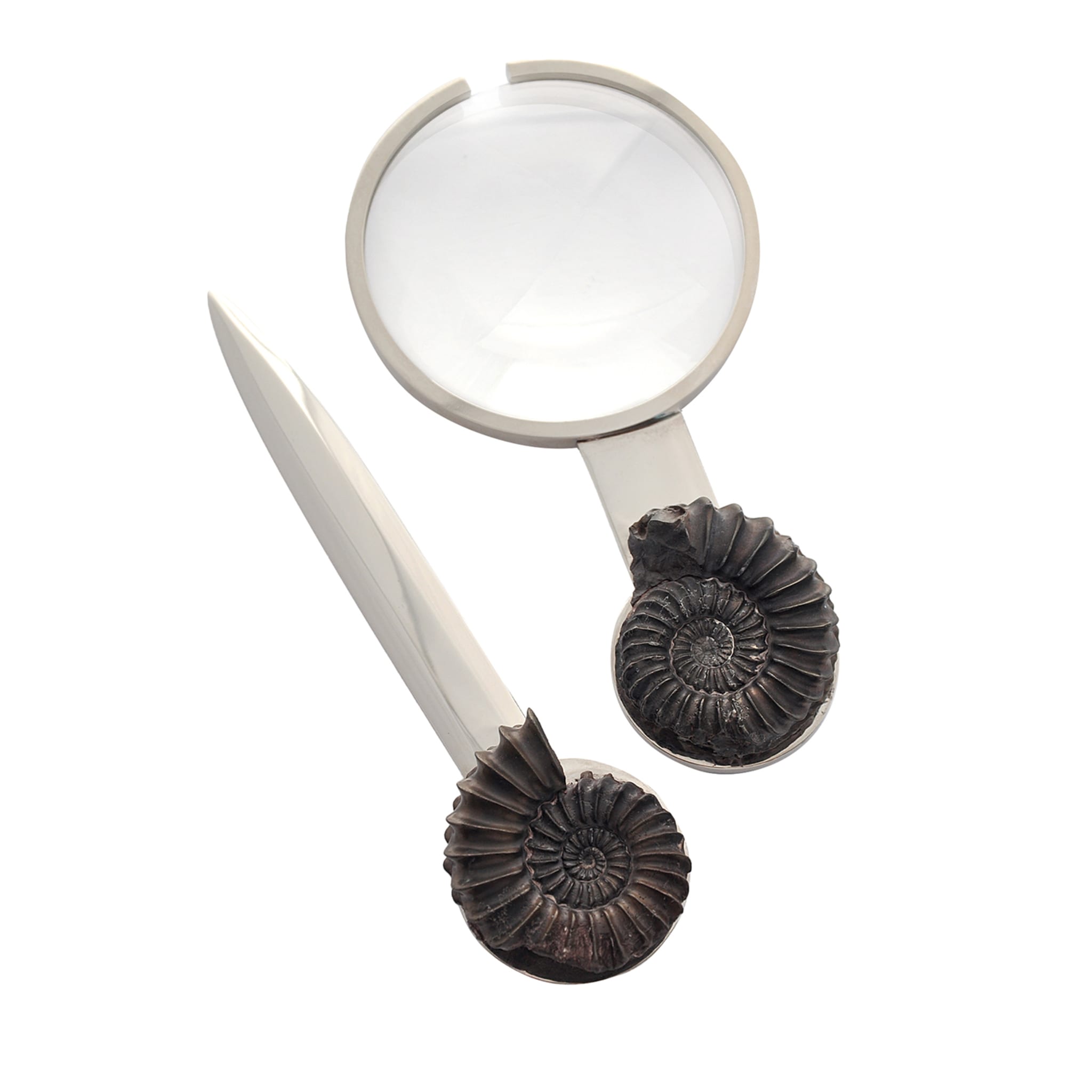 Pleuroceras Set of Magnifying Glass and Paper Knife by Nino Basso - Main view