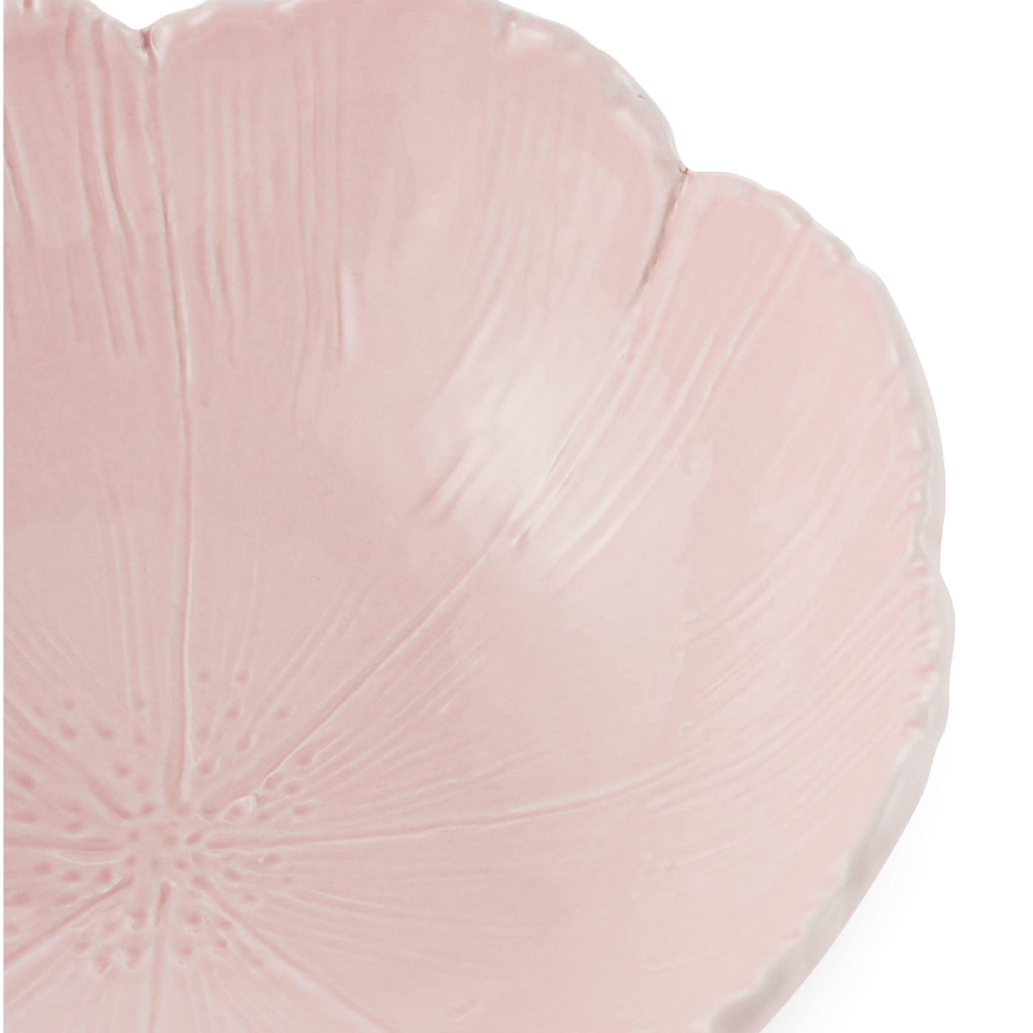 Cherry Blossom Set of 2 Pink Fine Ceramic Soup Plates  - Alternative view 1
