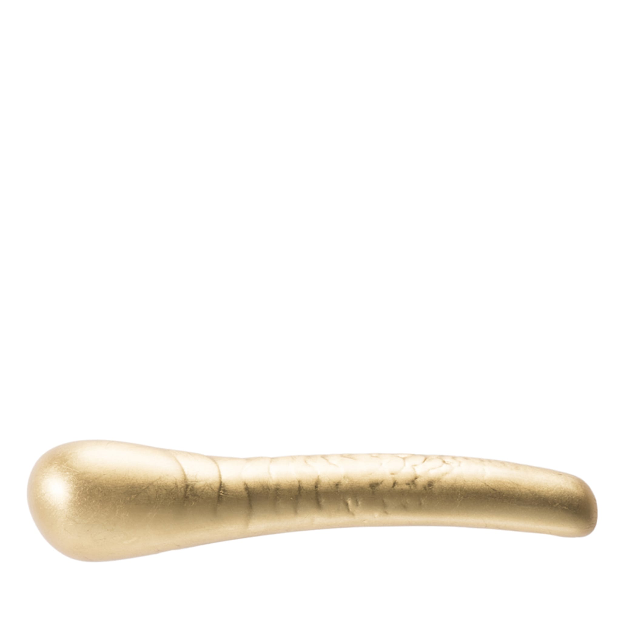 Scaglie Gold Handle by Nicole Valenti - Main view