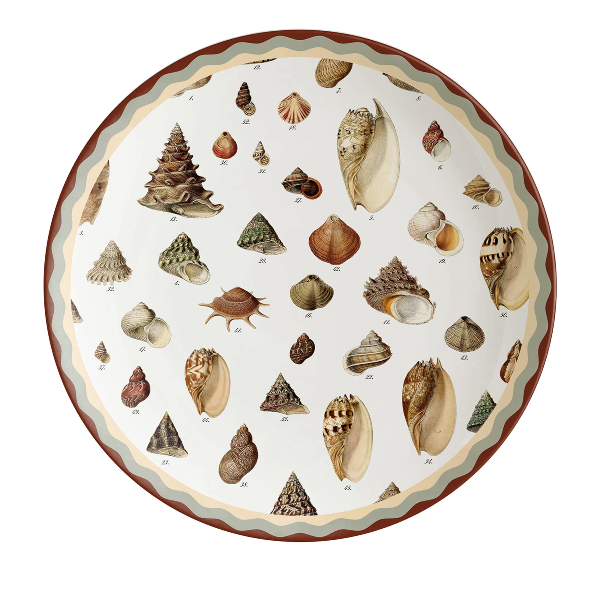 Cabinet de Curiosités Assiette plate à coquillages - Vue principale